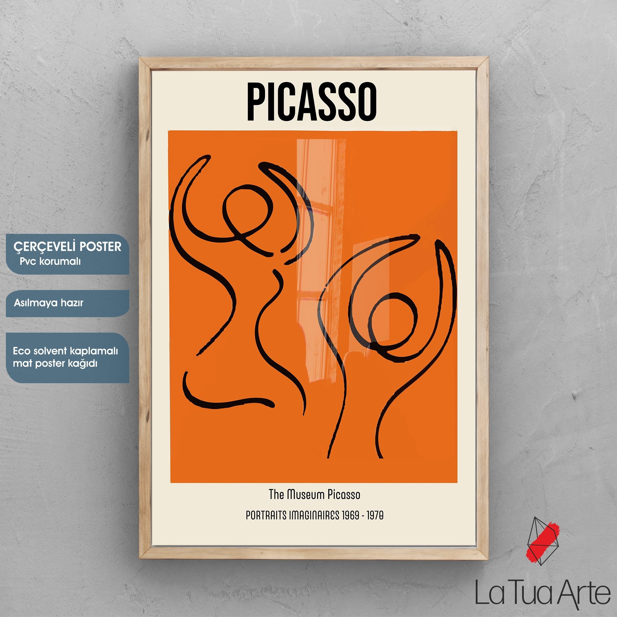 PICASSO1