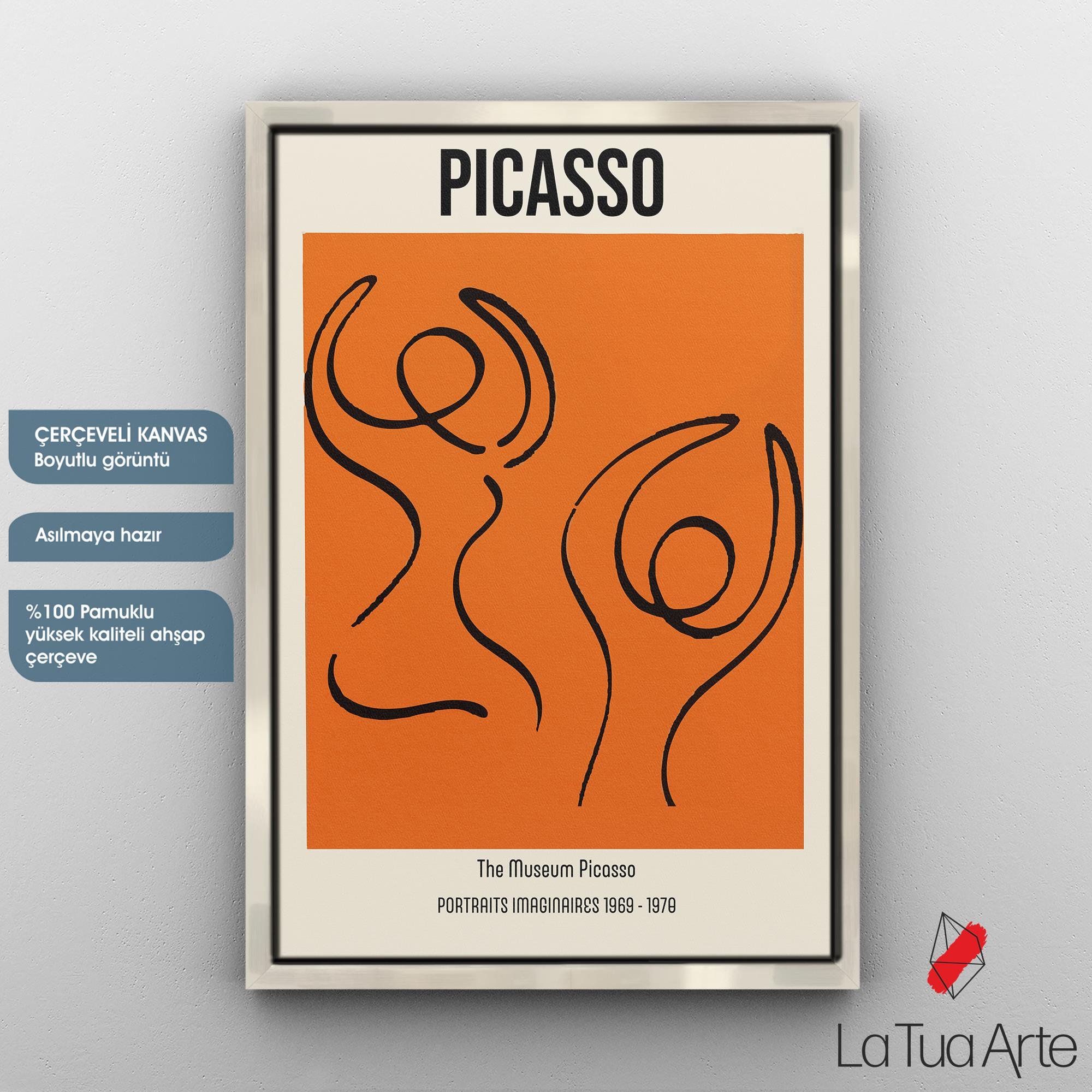 PICASSO1