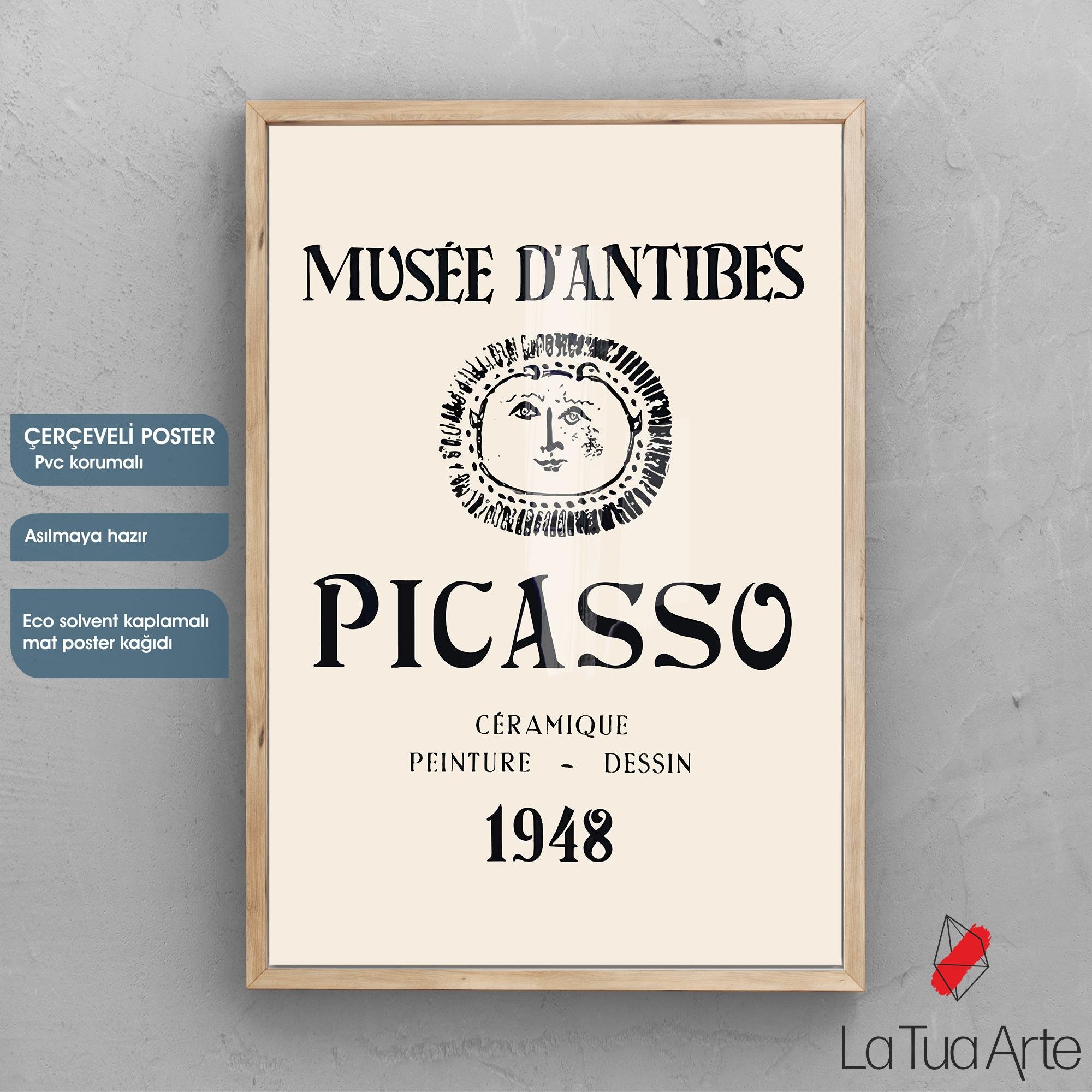 PICASSO2