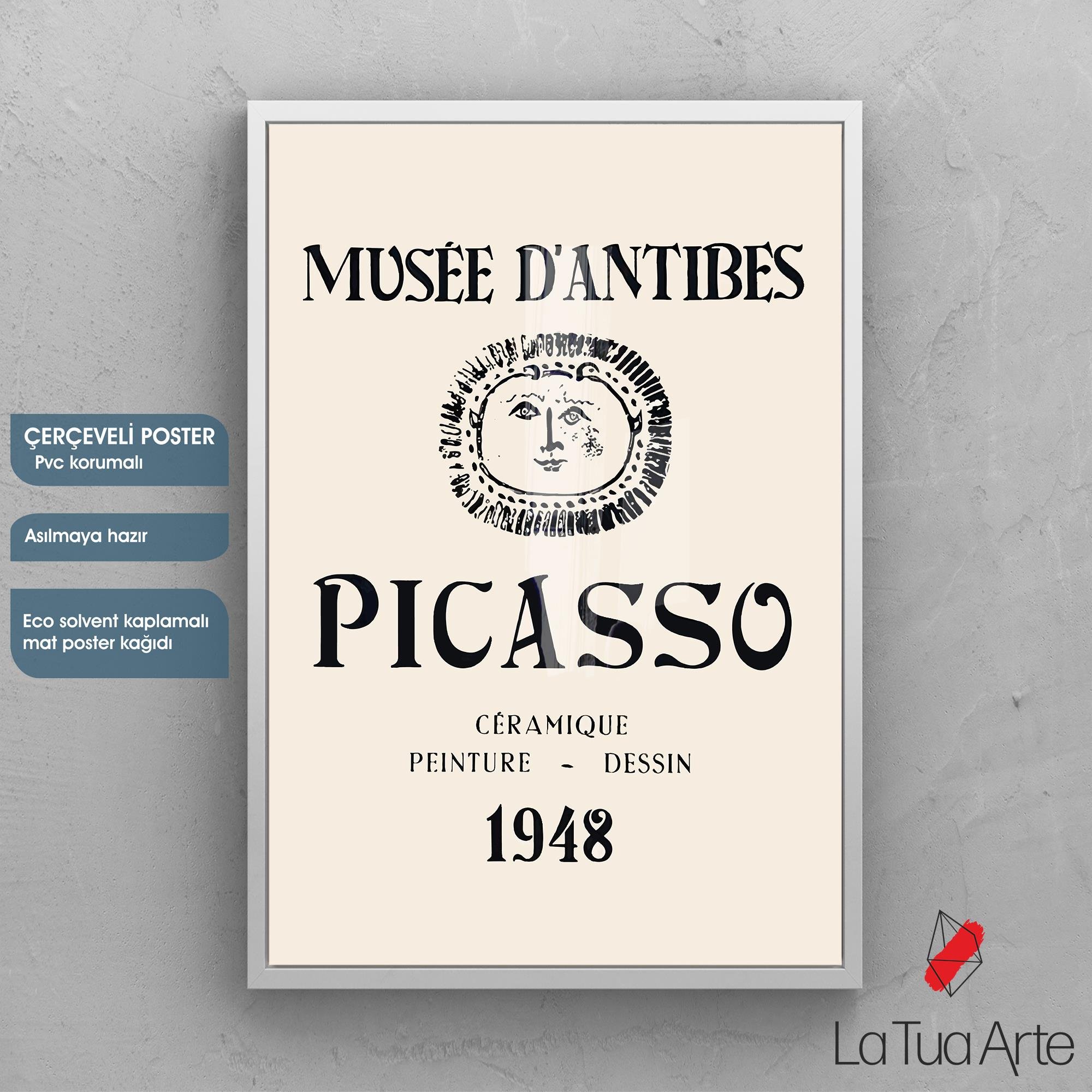 PICASSO2