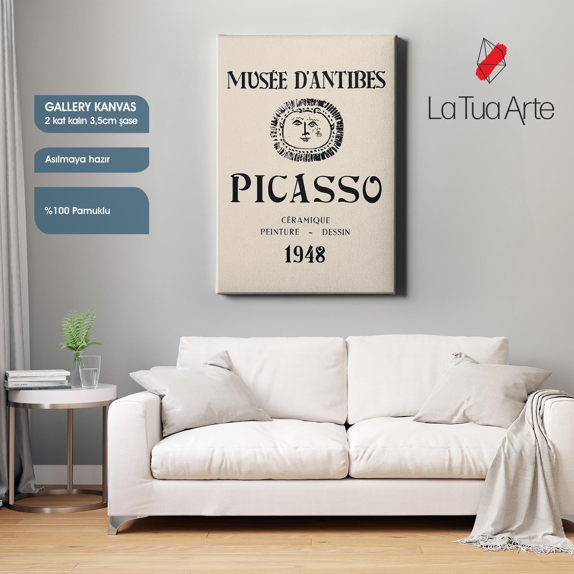 PICASSO2