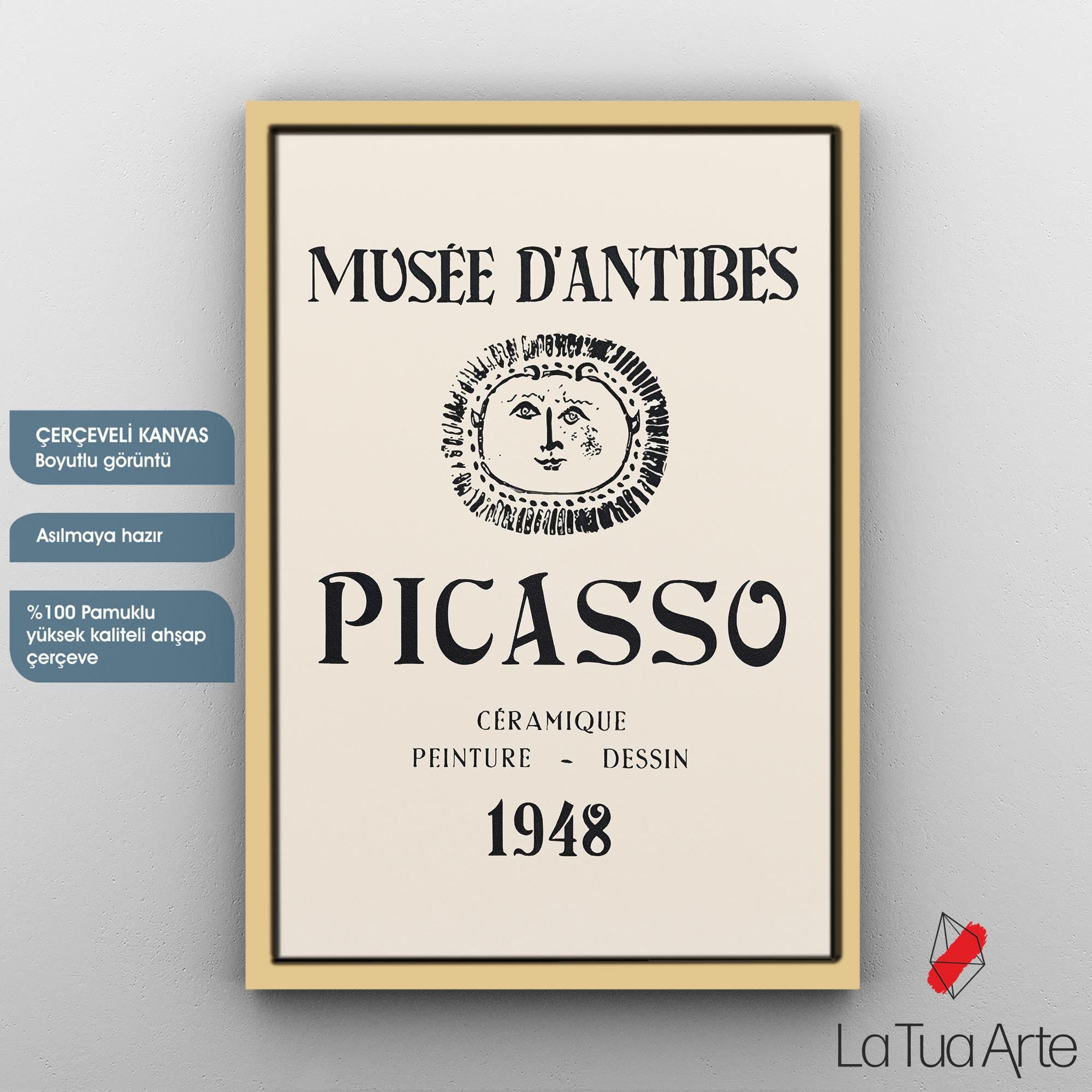 PICASSO2