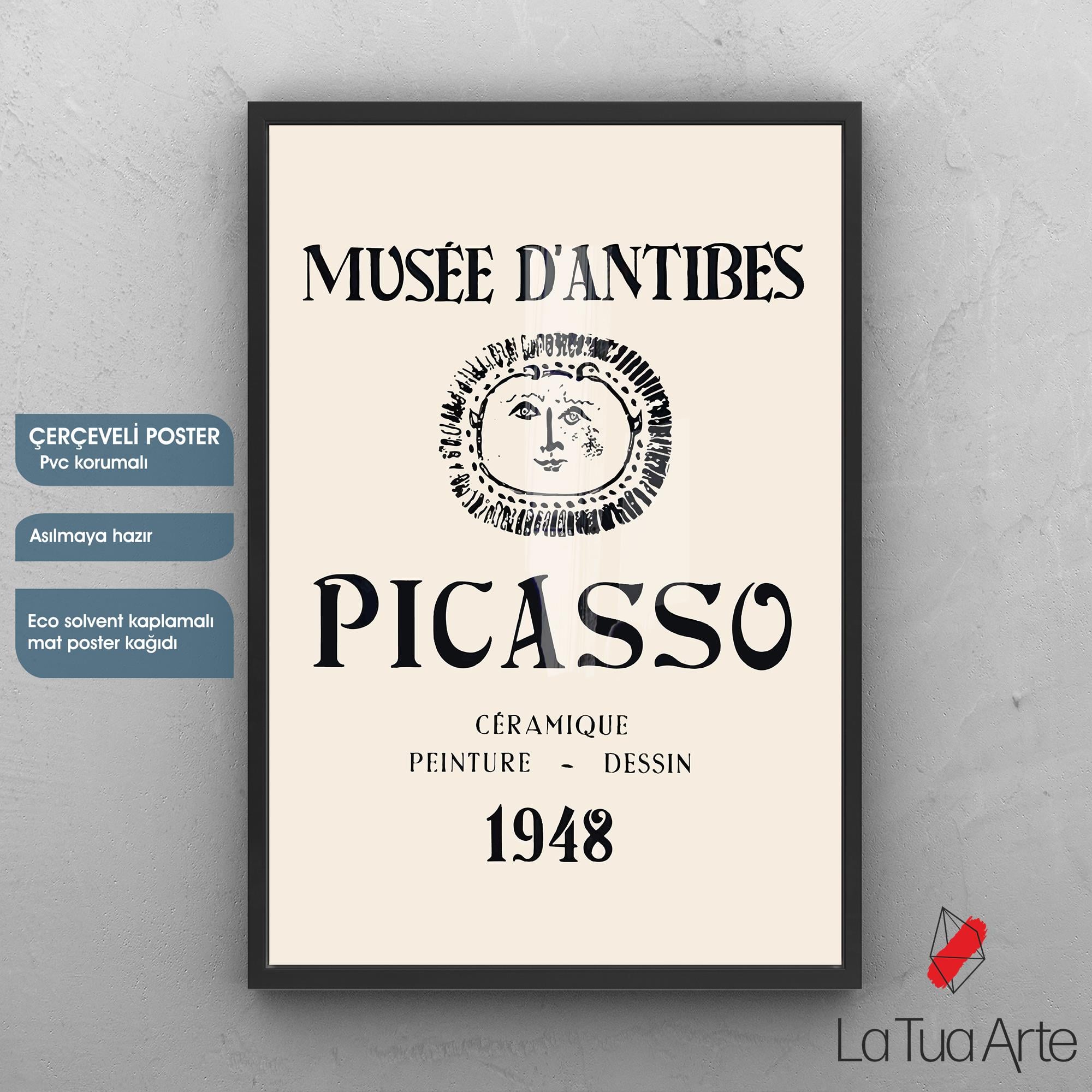 PICASSO2