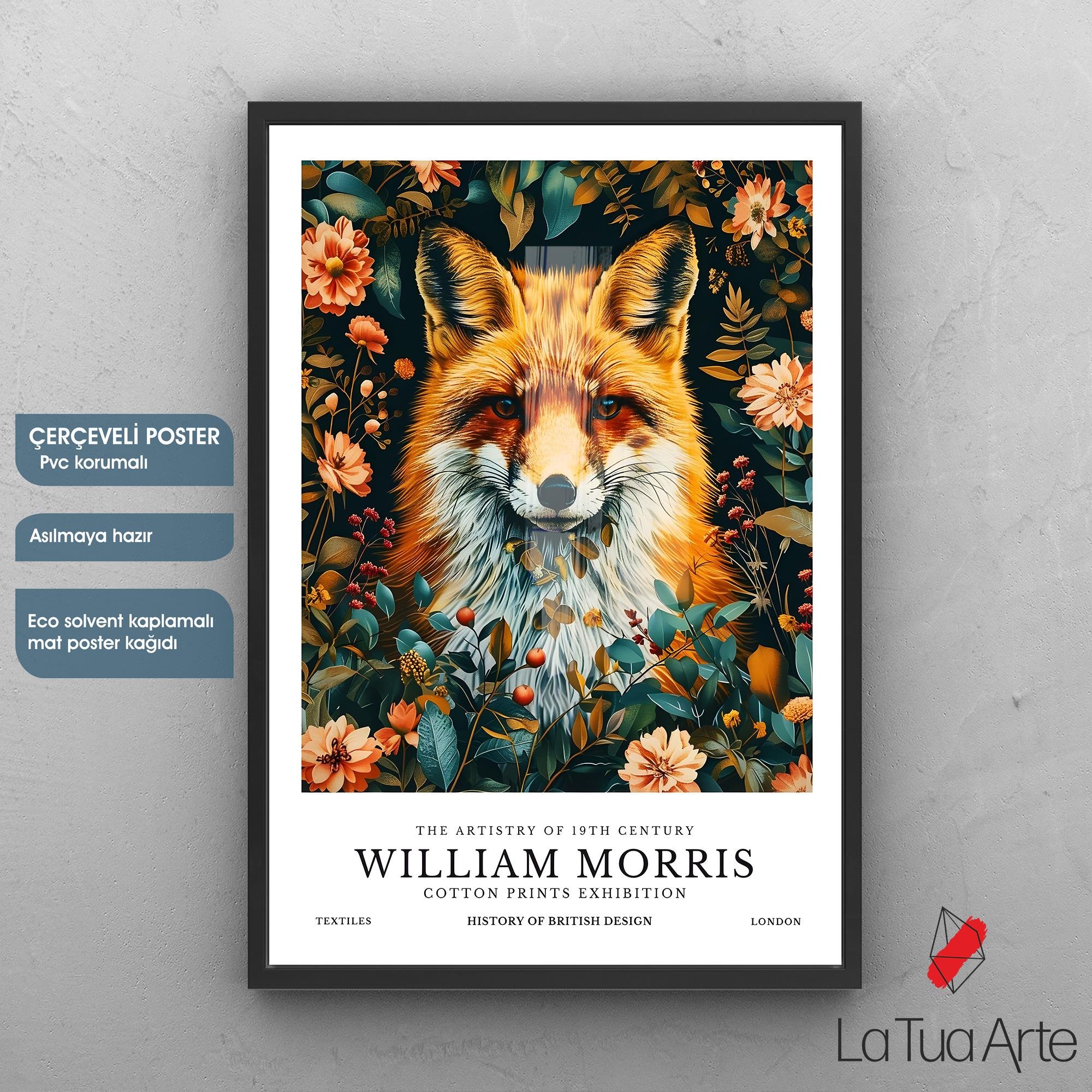 WILLIAM MORRIS TİLKİ