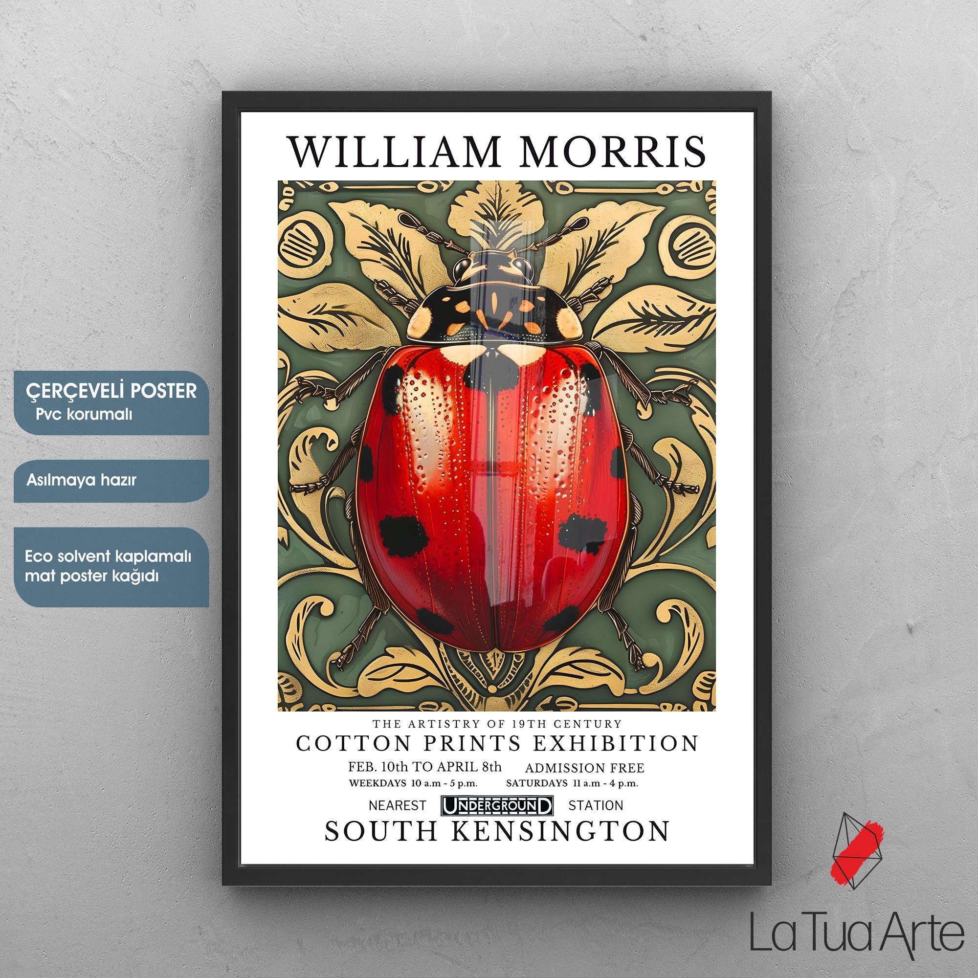 WILLIAM MORRIS-UĞUR BÖCEĞİ