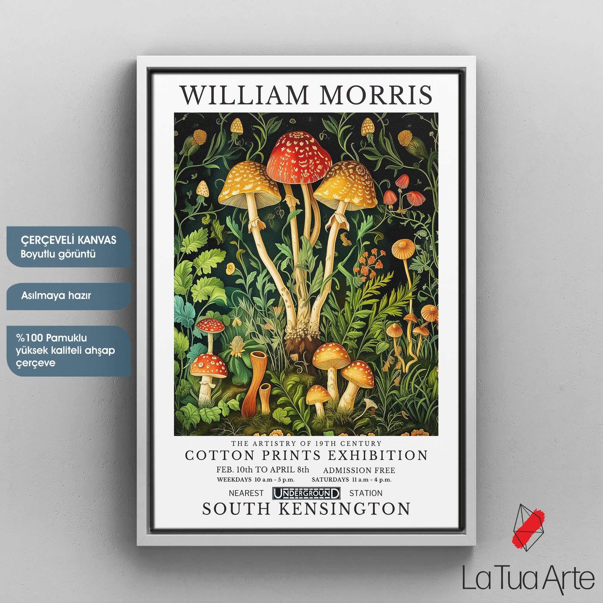 WILLIAM MORRIS16
