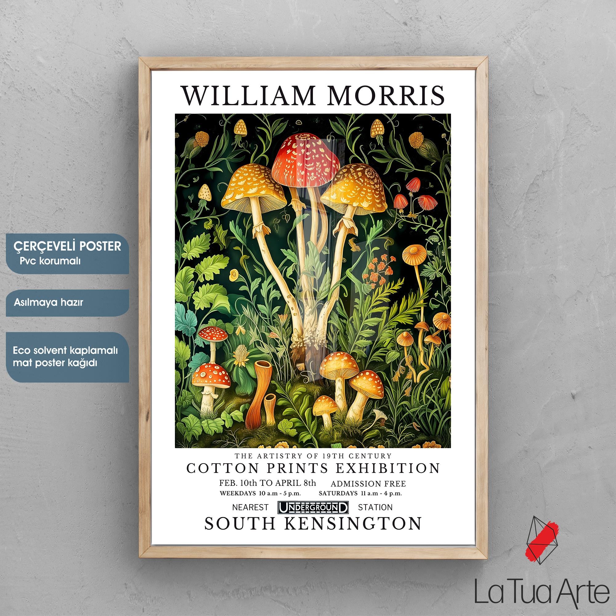 WILLIAM MORRIS16