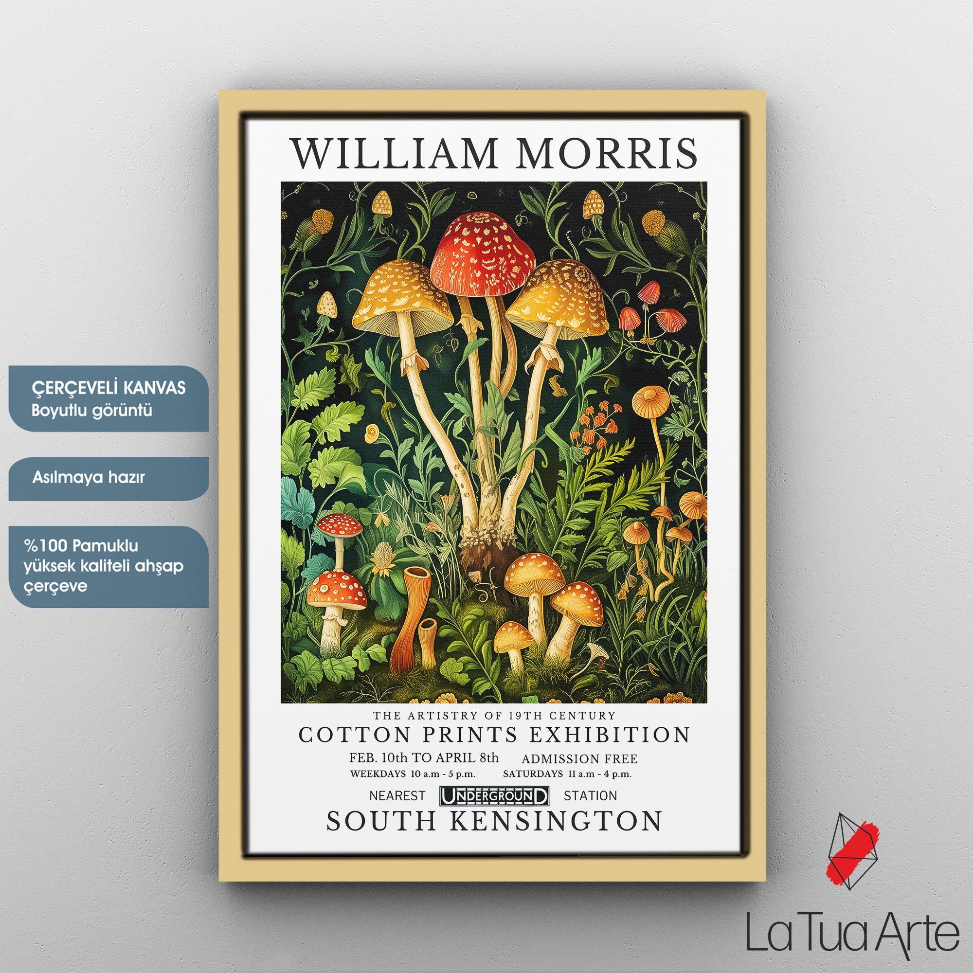 WILLIAM MORRIS16