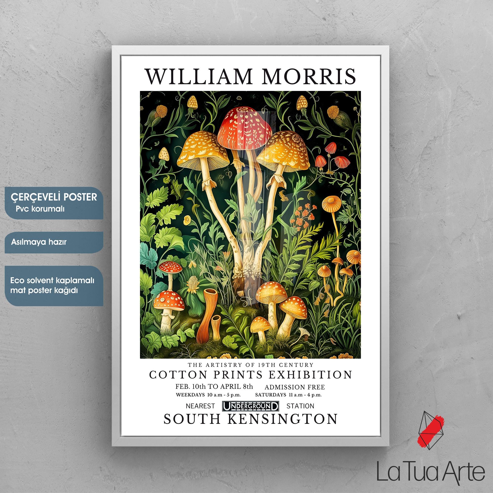 WILLIAM MORRIS16