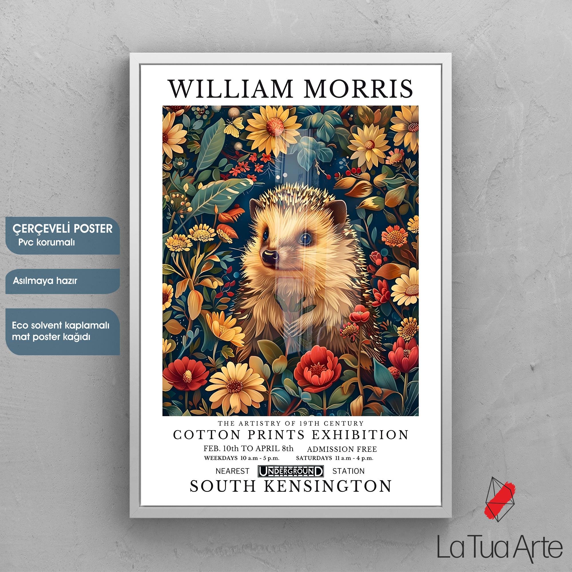 WILLIAM MORRIS17