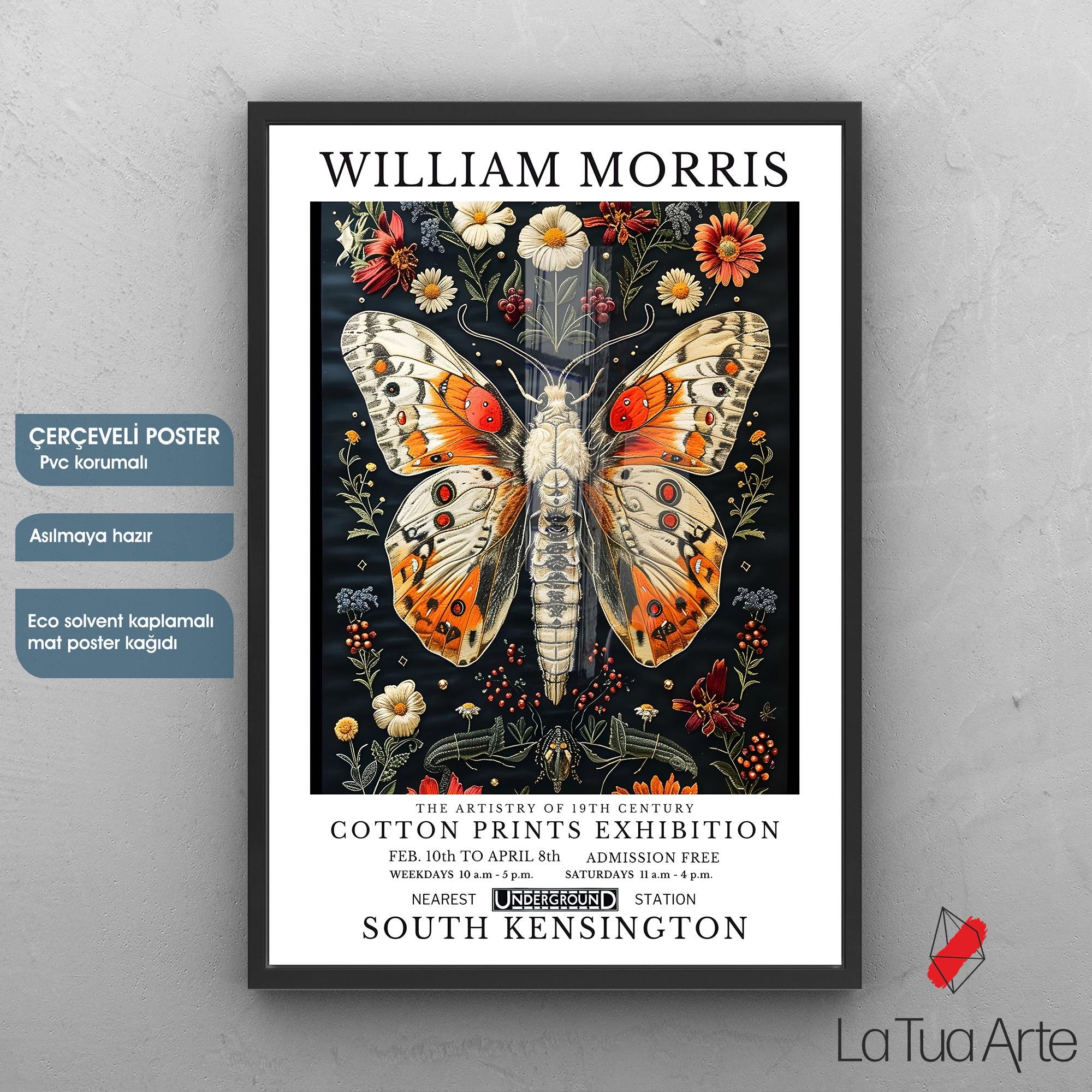 WILLIAM MORRIS3