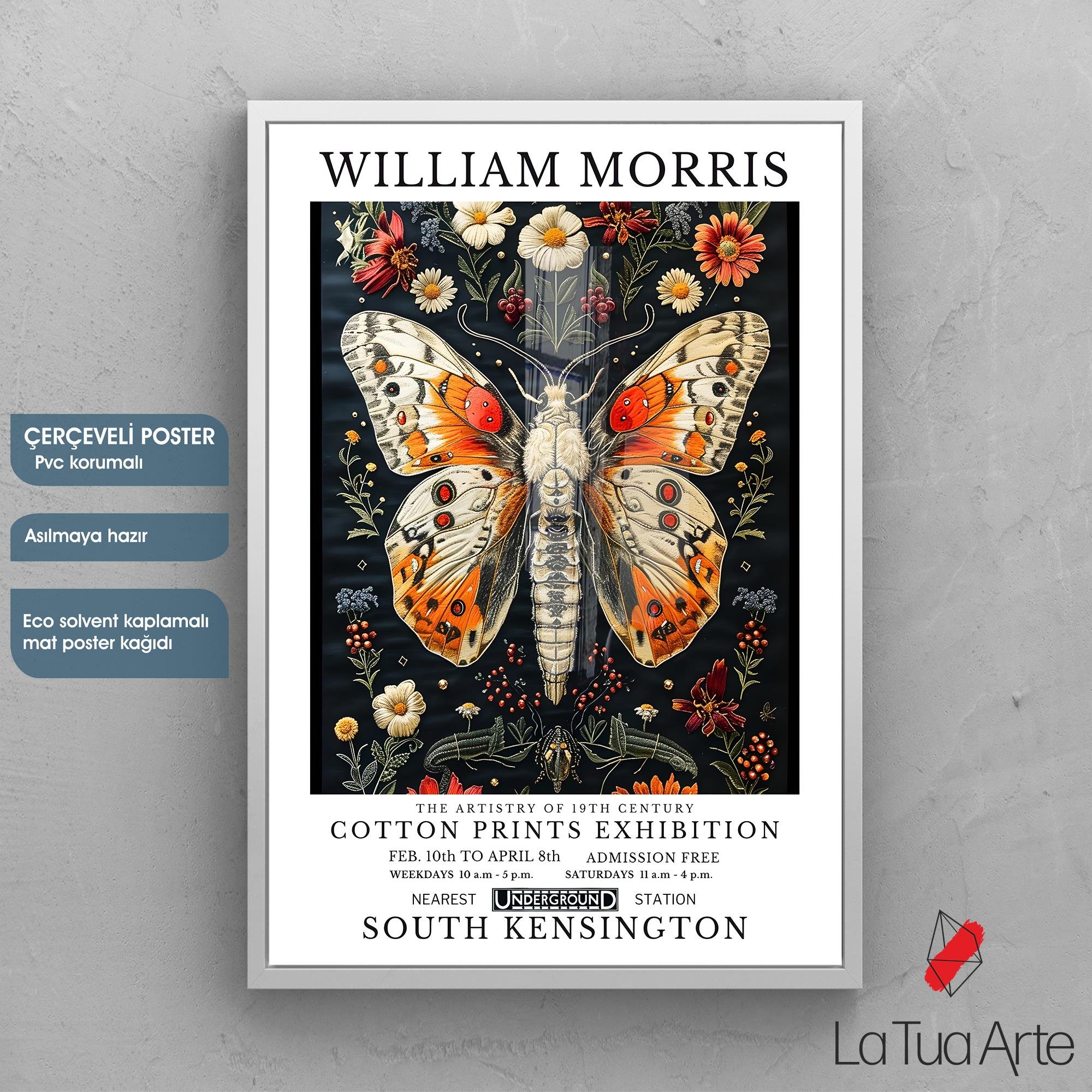 WILLIAM MORRIS3