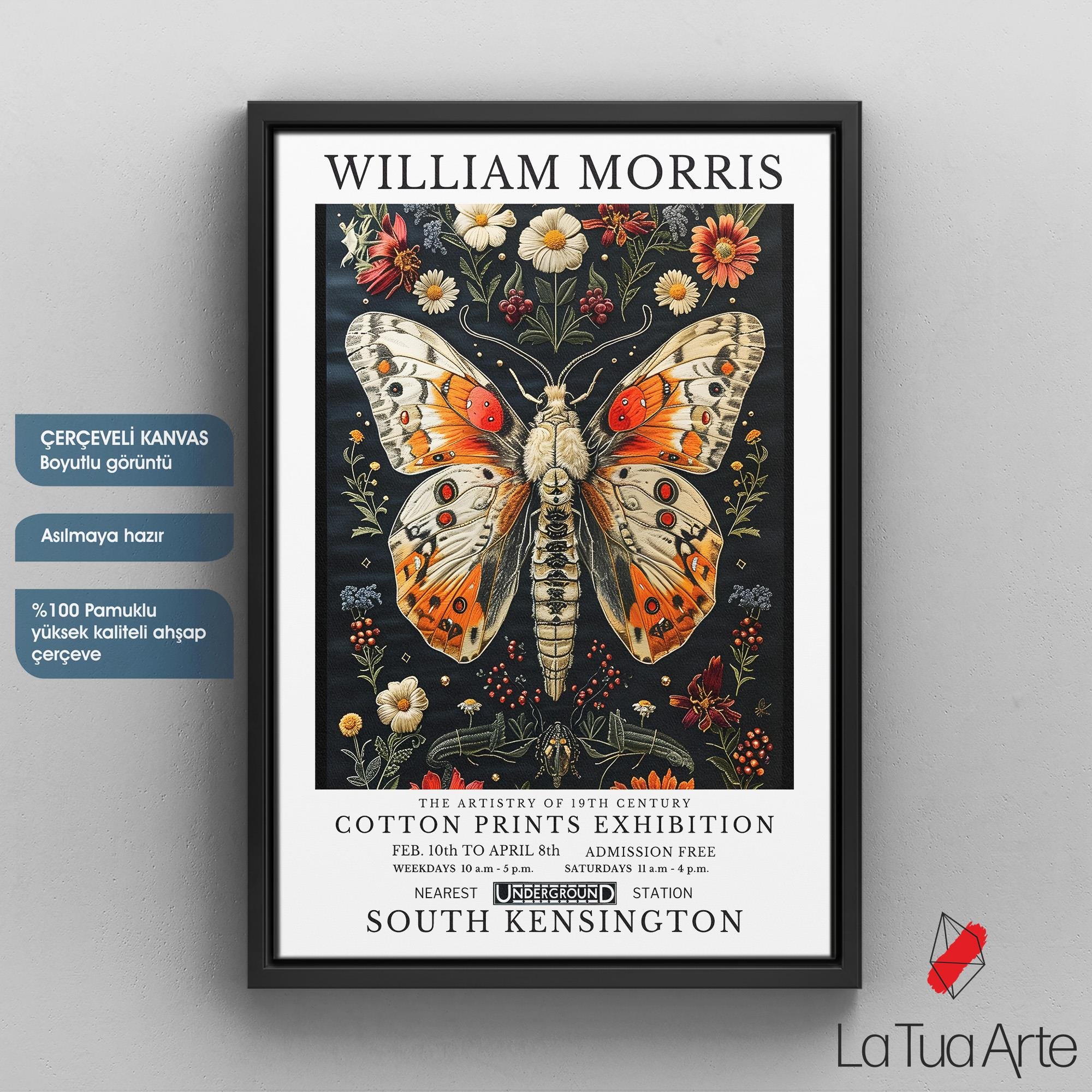 WILLIAM MORRIS3
