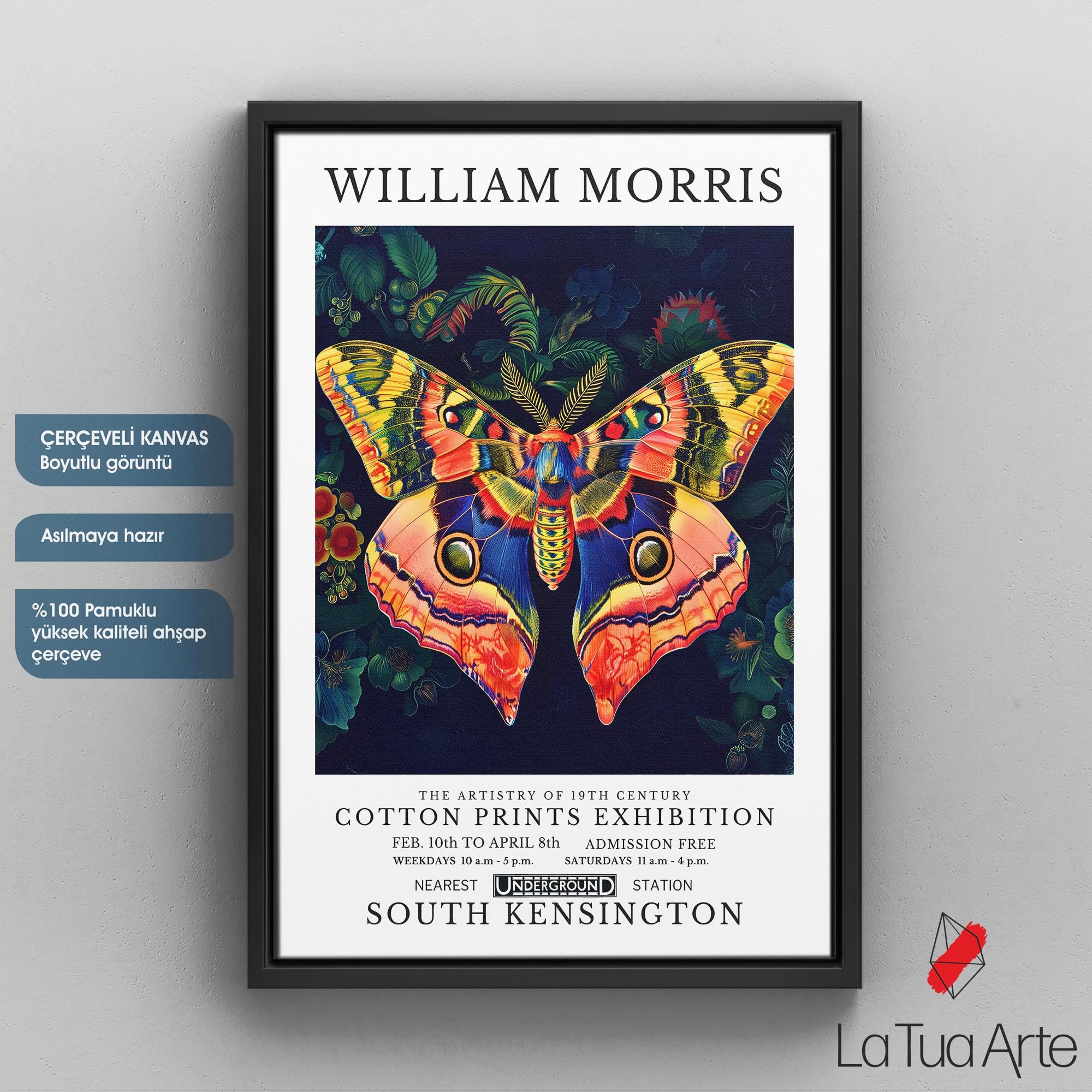 WILLIAM MORRIS4