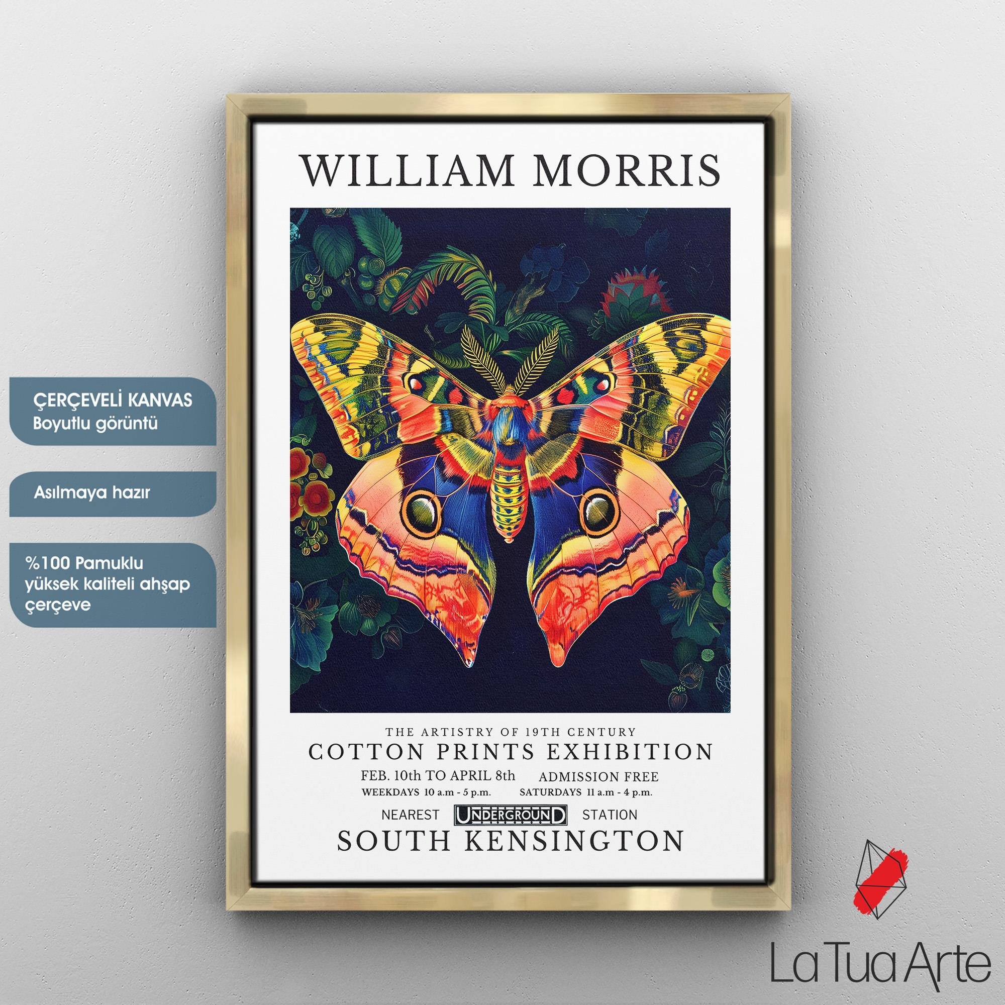 WILLIAM MORRIS4