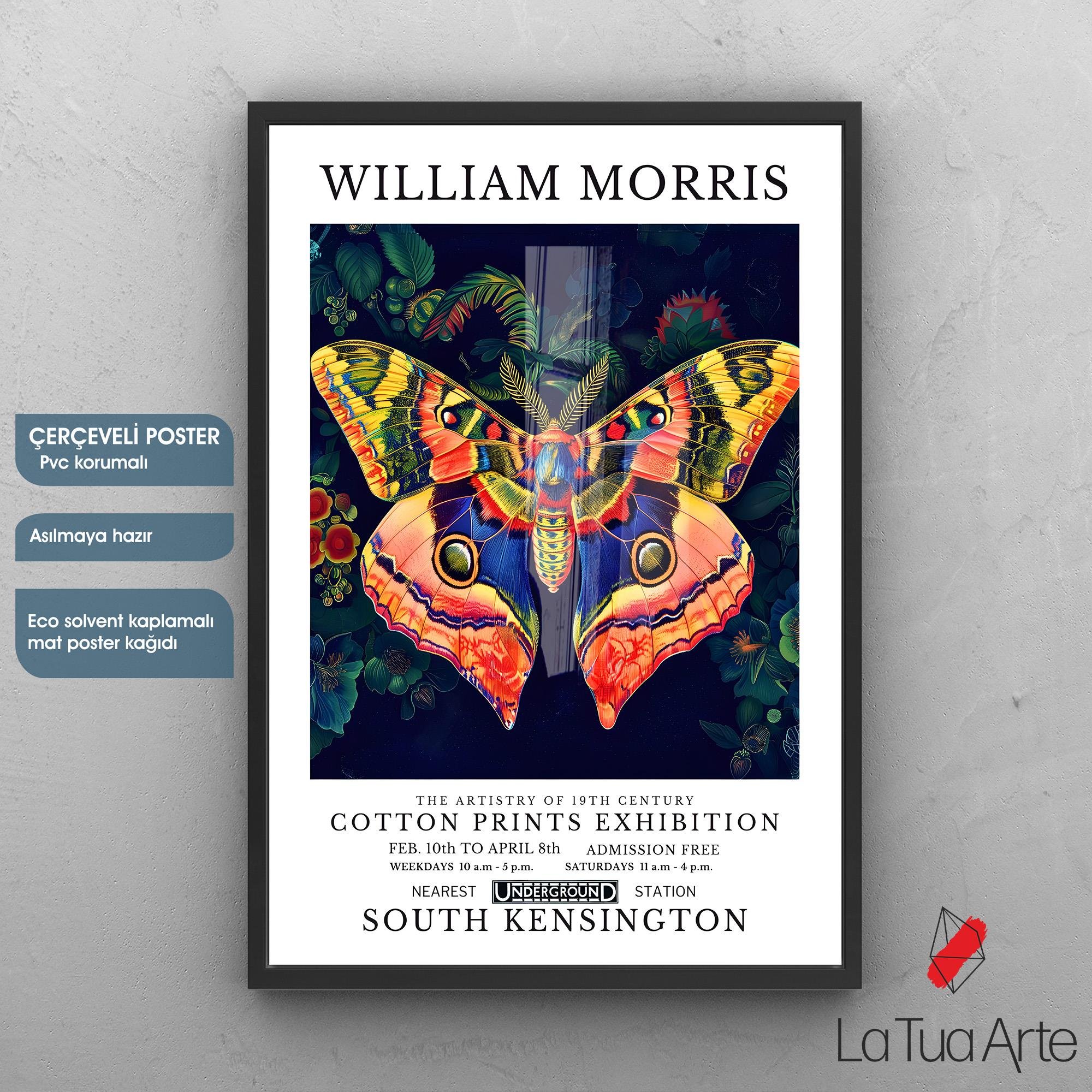 WILLIAM MORRIS4