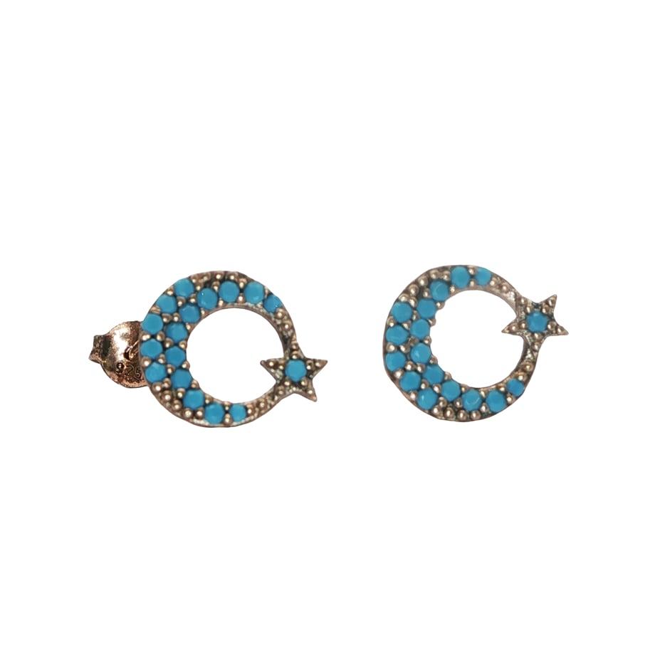 Acar Gold Gümüş Küpe - KP00629S