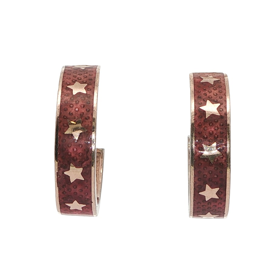 Acar Gold Gümüş Küpe - KP02251S