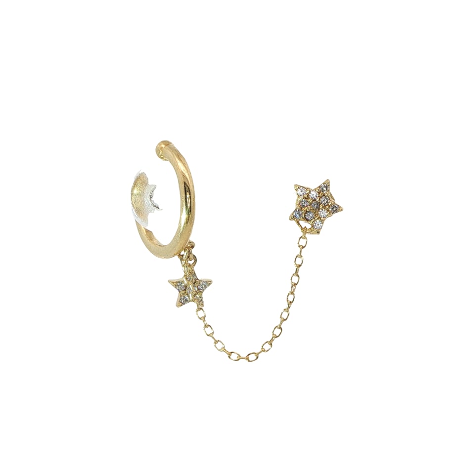 Acar Gold Gümüş Küpe - KP05620S