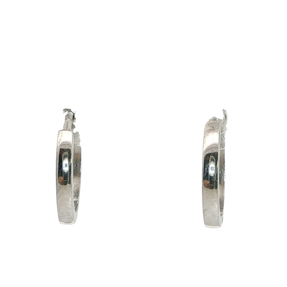 Acar Gold Gümüş Küpe - KP07460S