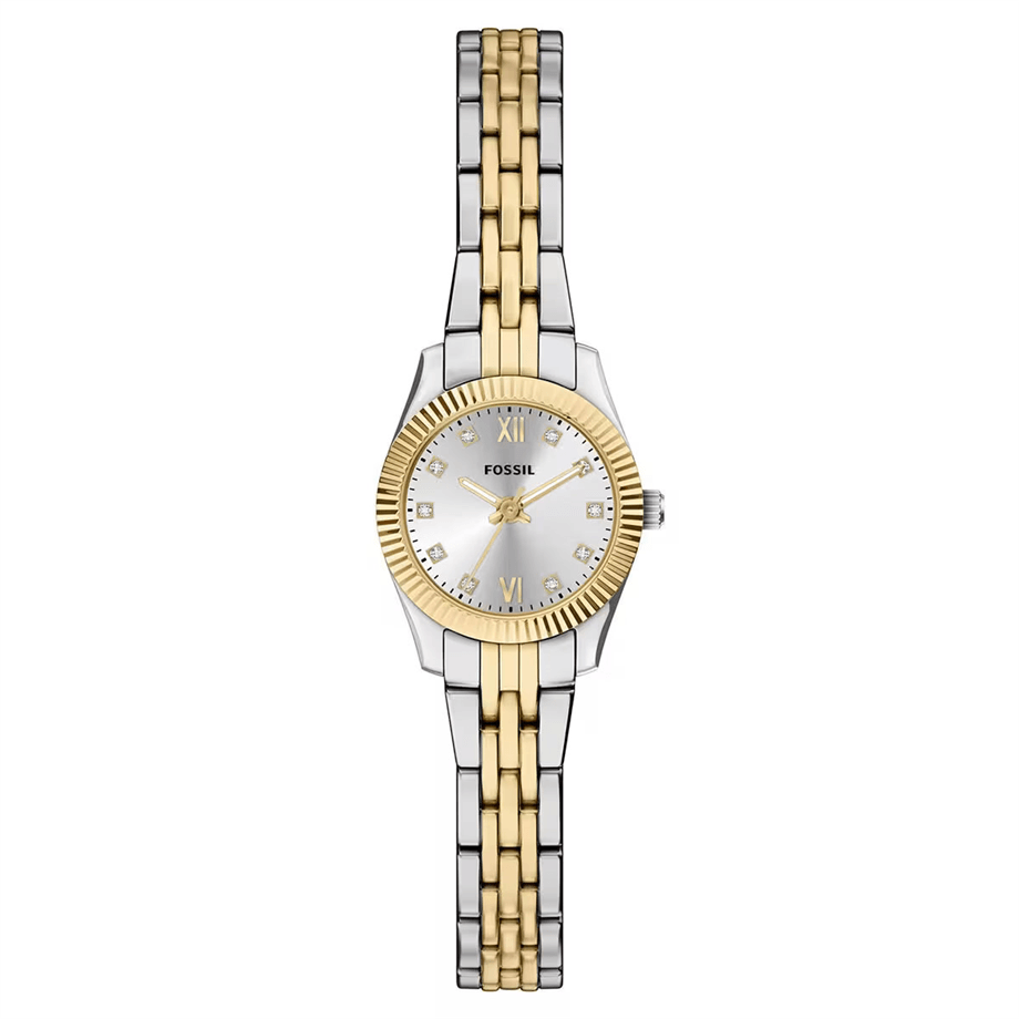 Fossil FES5473 Kadın Kol Saati