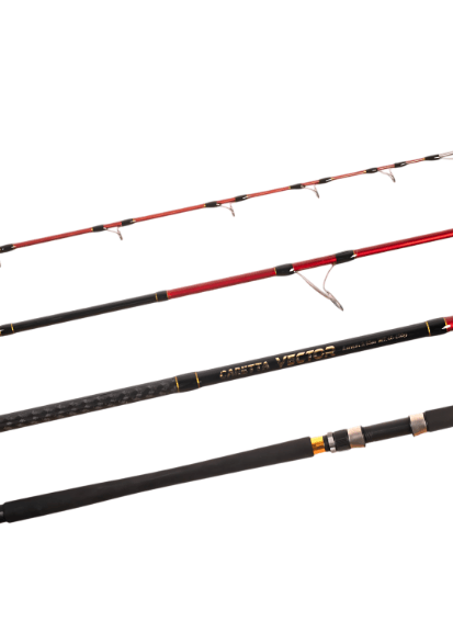 Jigging KamışlarıCaretta Vector 2.95 m 40-120 g Shore Jig Rod