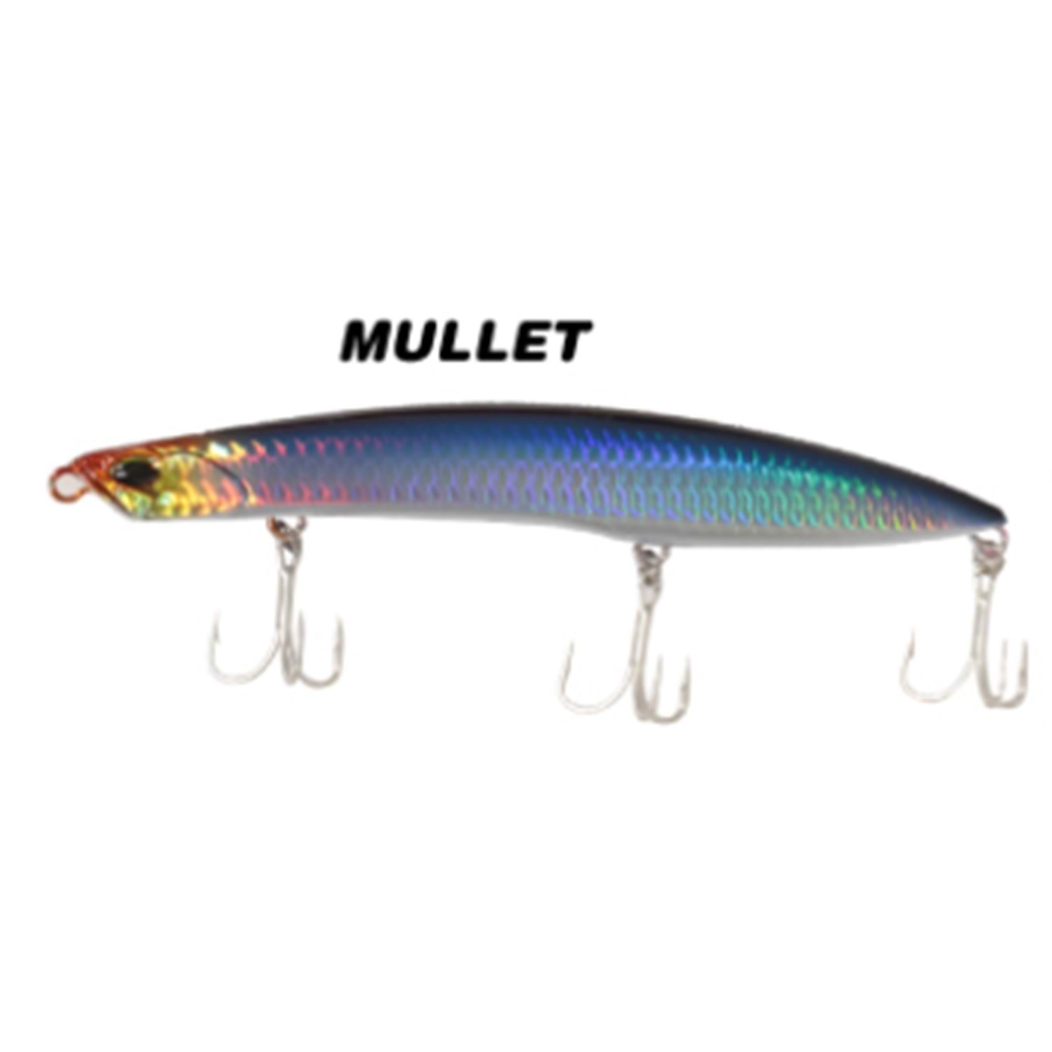 RYUJI BEACH WALKER SINKING