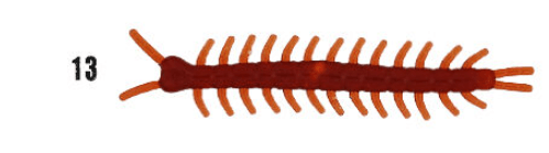 WILY Wily Instinct Worm Sıvılı 55 mm 20 Adetli Silikon Yem Silikon Yemler