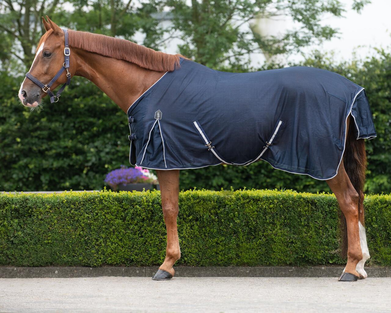 At Sineklik Örtüsü Basic