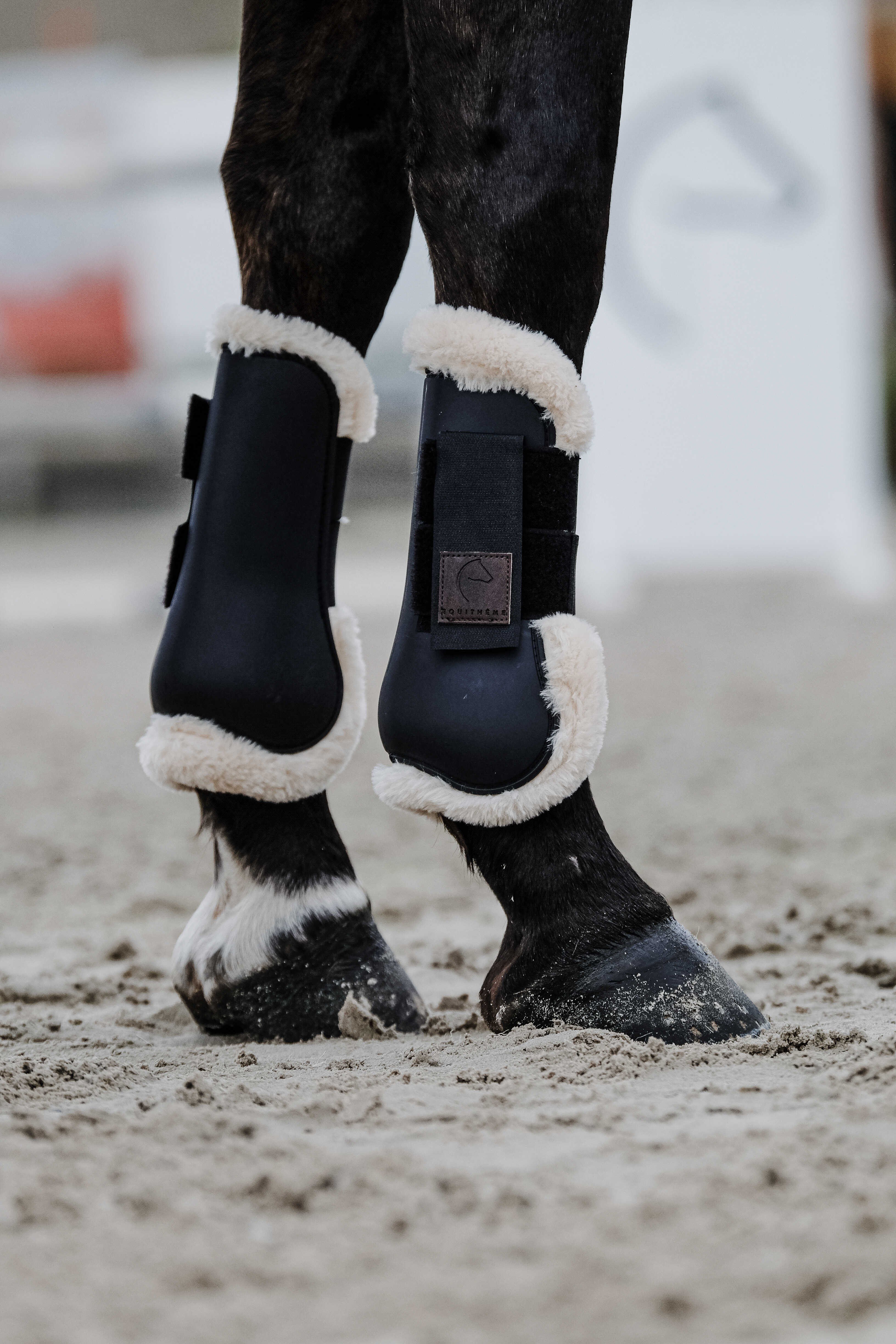 At Tendon Koruma Getri - Equitheme Protege Boa