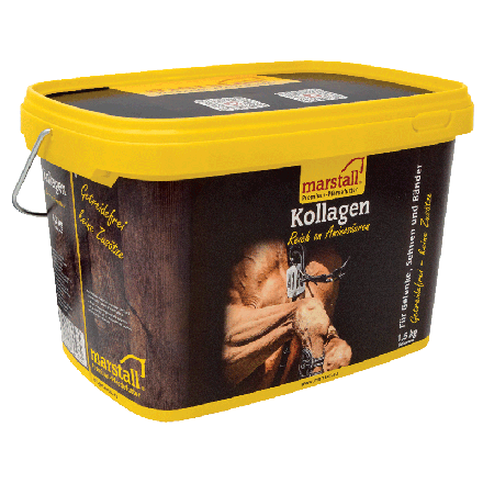 Marstall Kolajen