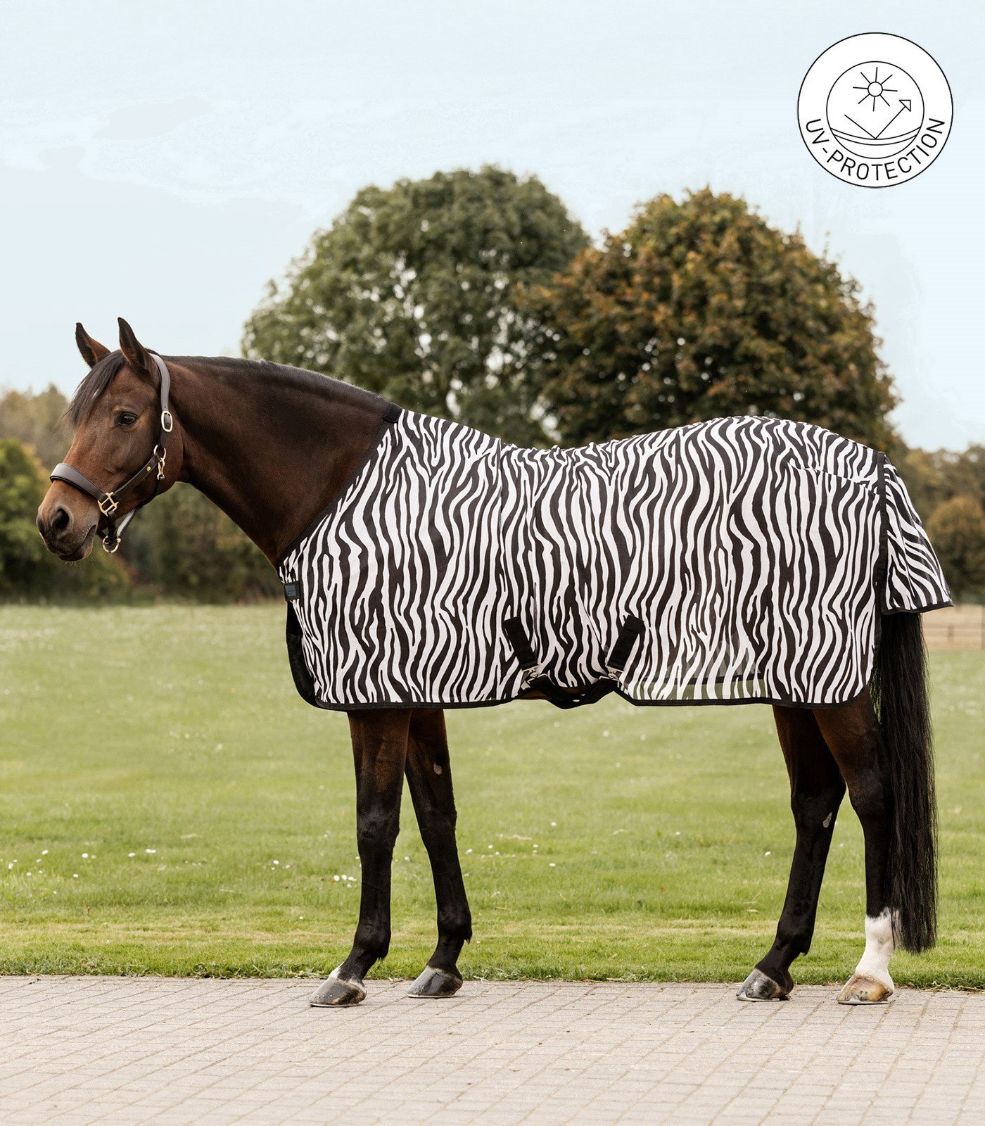 Waldhausen Sinek Blanketi - Zebra Çapraz Bağlamalı