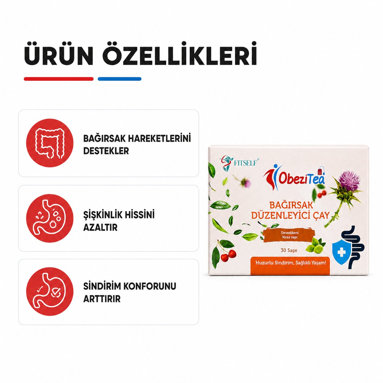 Fitself – ObeziTea Bitkisel Karışım Çayı 30 Saşe