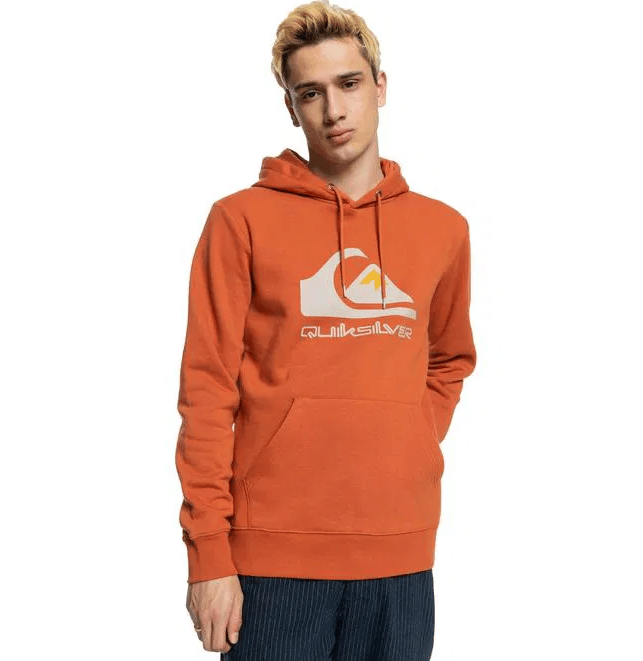 Quiksilver BIG LOGO HOOD