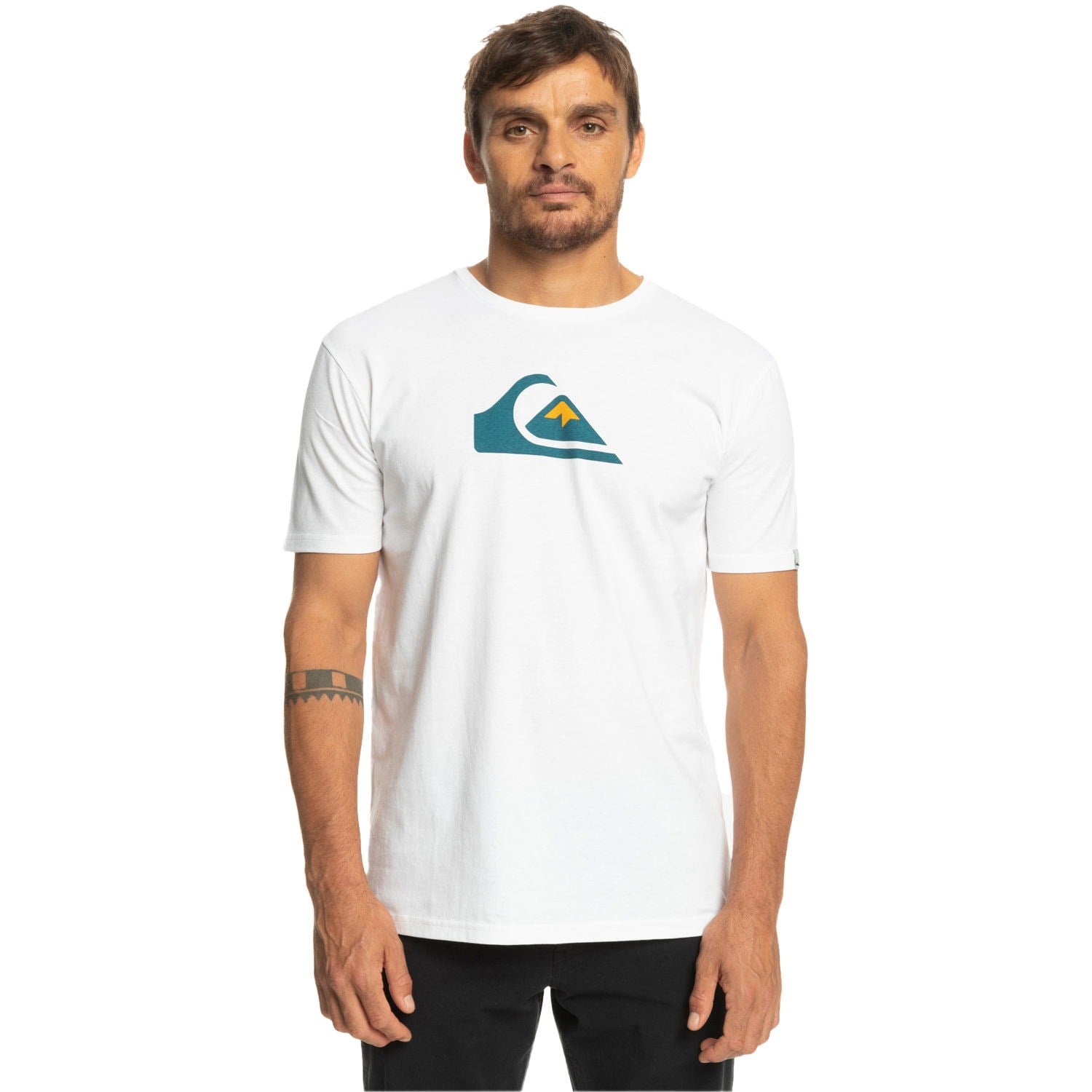 Quiksilver COMPLOGO M TEES