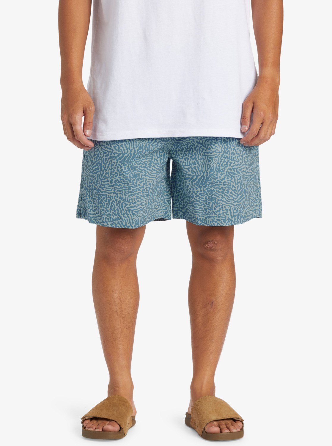 Quiksilver TAXER WALK SHORTS