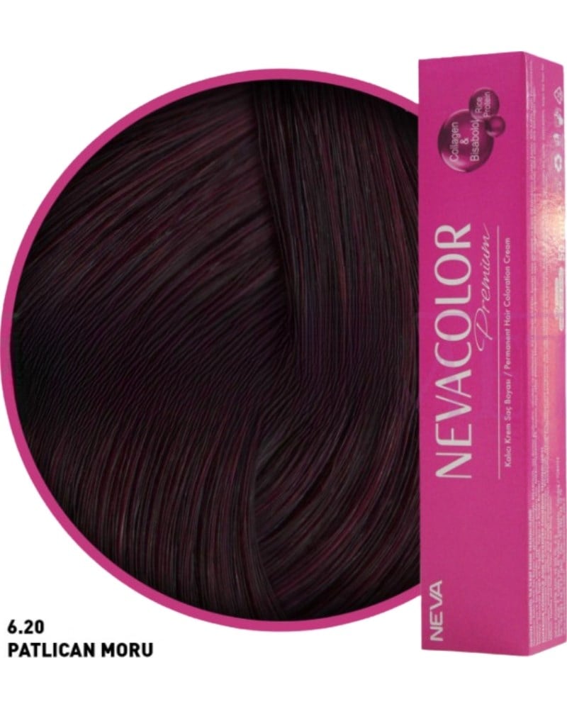 Neva Color Tüp Boya 6.20 Patlıcan Moru