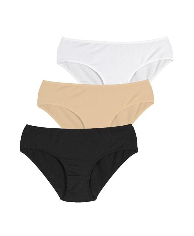 Penti Cover Çok Renkli 3'lü Slip Külot