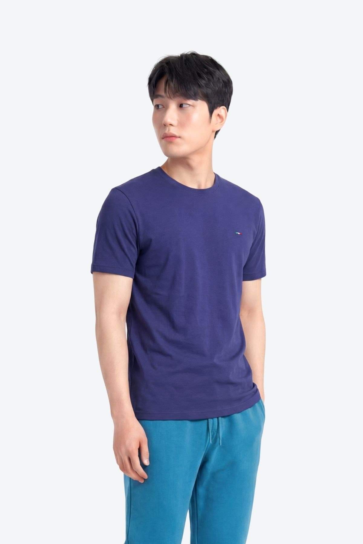 Nakış Detaylı Regular Fit Erkek Bisiklet Yaka T-Shirt
