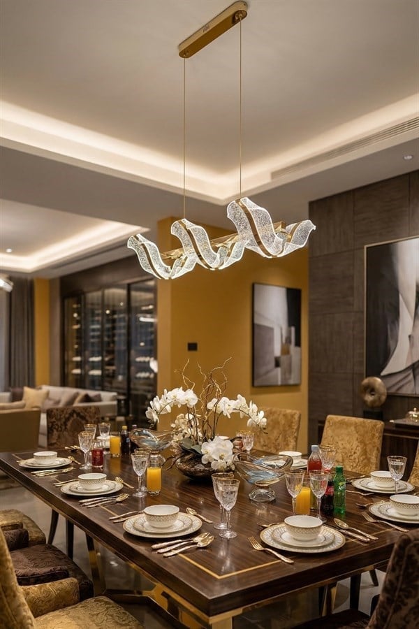 55001 Ledli Avize