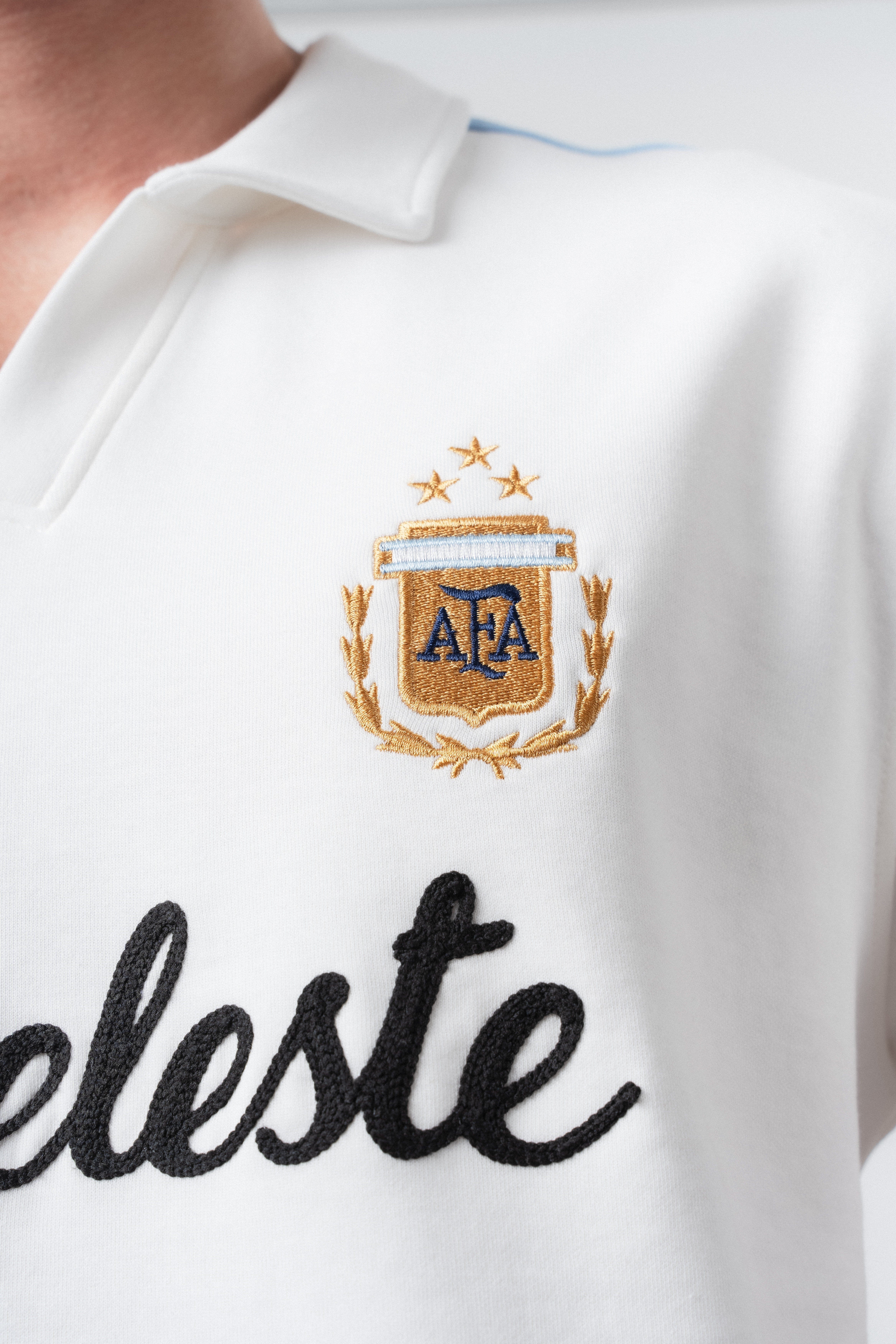 Erkek Albiceleste Dünya Kupası Regular Fit Polo Yaka Taraftar T-Shirt Ekru