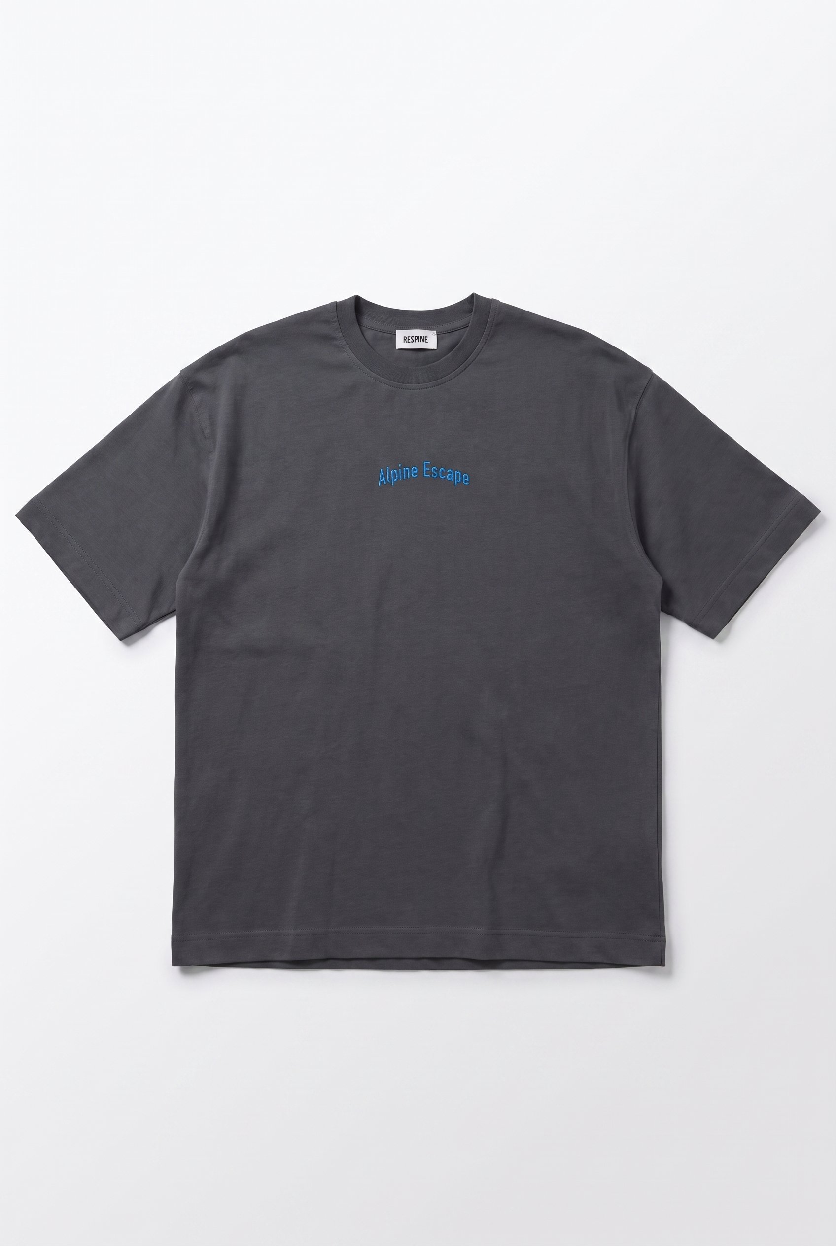 Erkek Alpine Nakışlı Oversize T-Shirt Füme