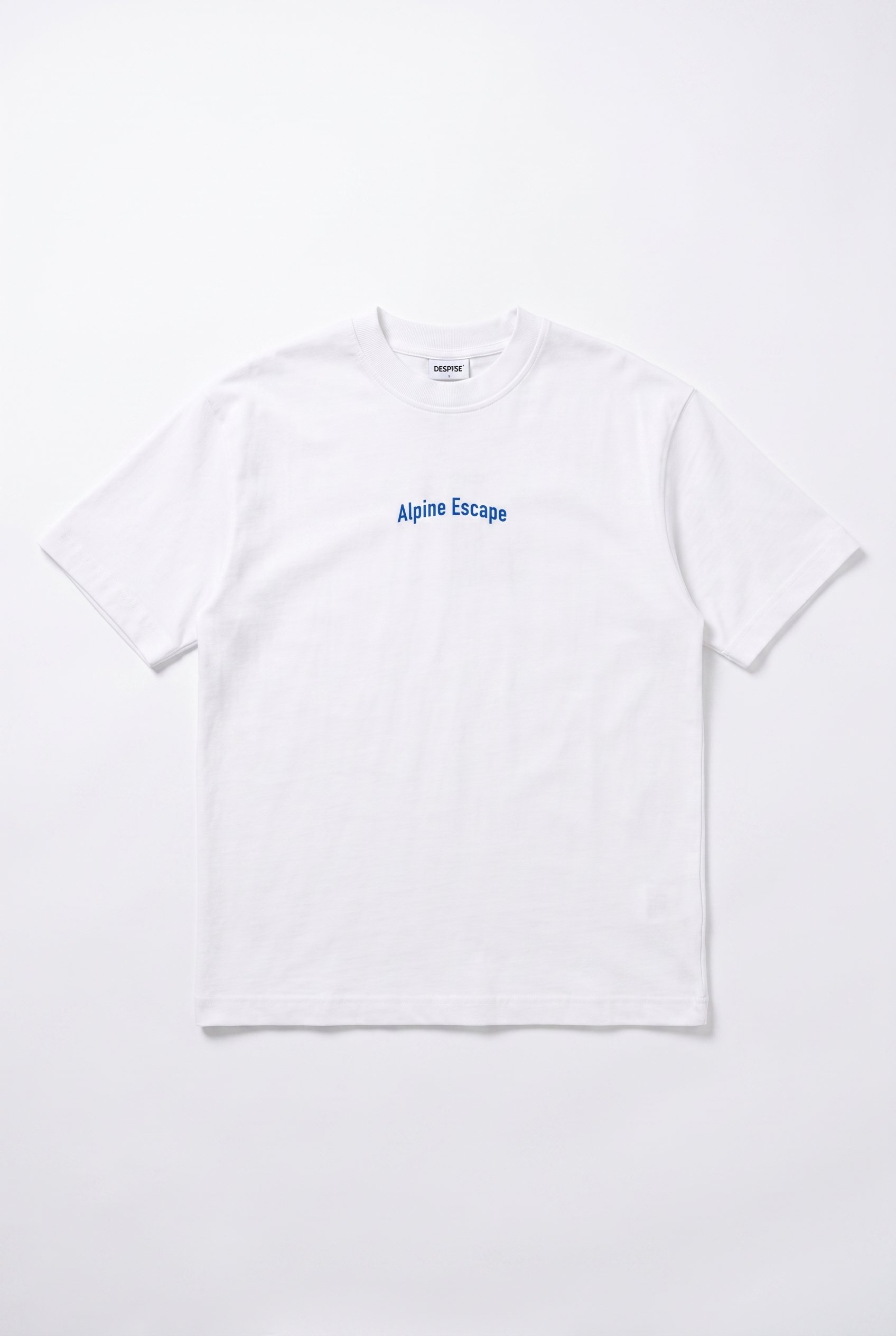 Erkek Alpine Nakışlı Oversize T-Shirt Ekru