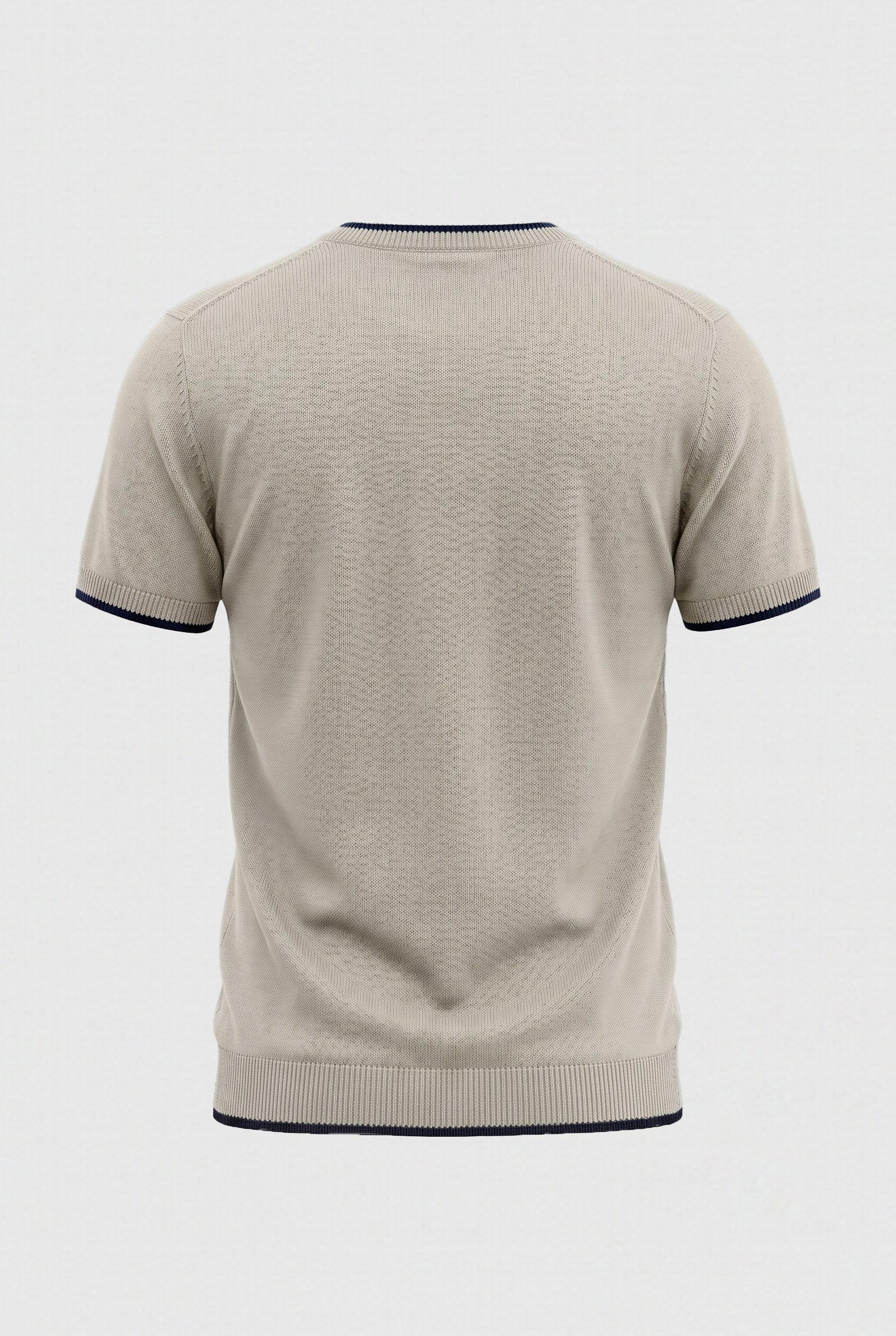 Erkek Bisiklet Yaka Regular Fit Triko T-Shirt Bej