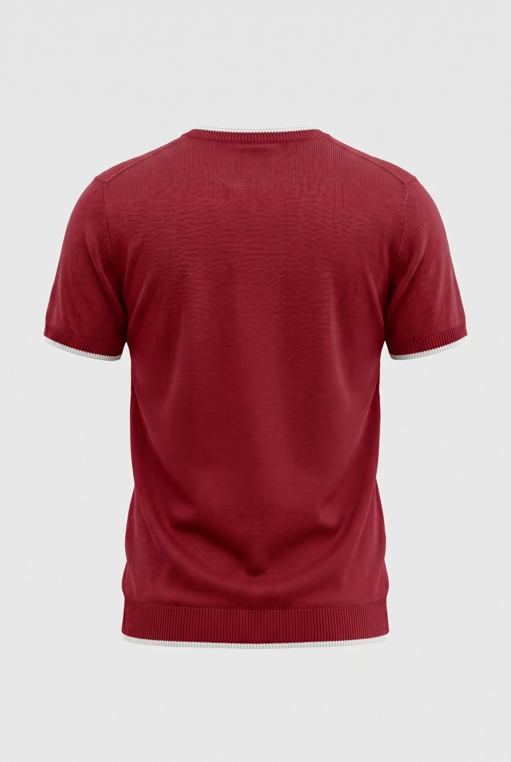 Erkek Bisiklet Yaka Regular Fit Triko T-Shirt Kırmızı