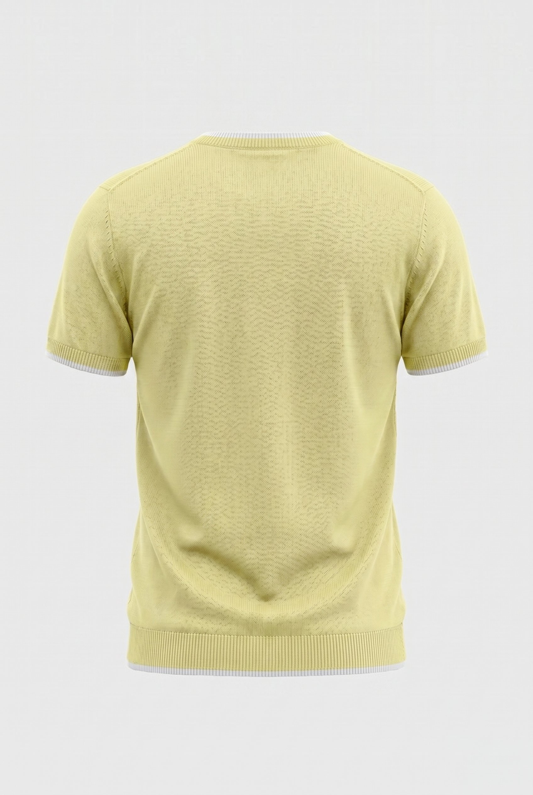Erkek Bisiklet Yaka Regular Fit Triko T-Shirt Sarı