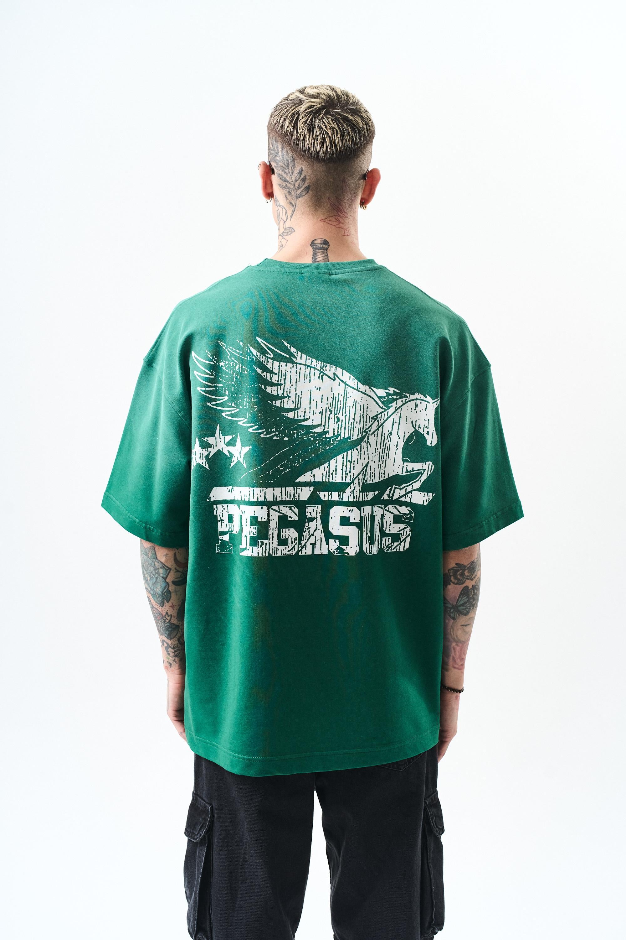 erkek-pegasus-baskili-oversize-t-shirt-3dae48.jpg