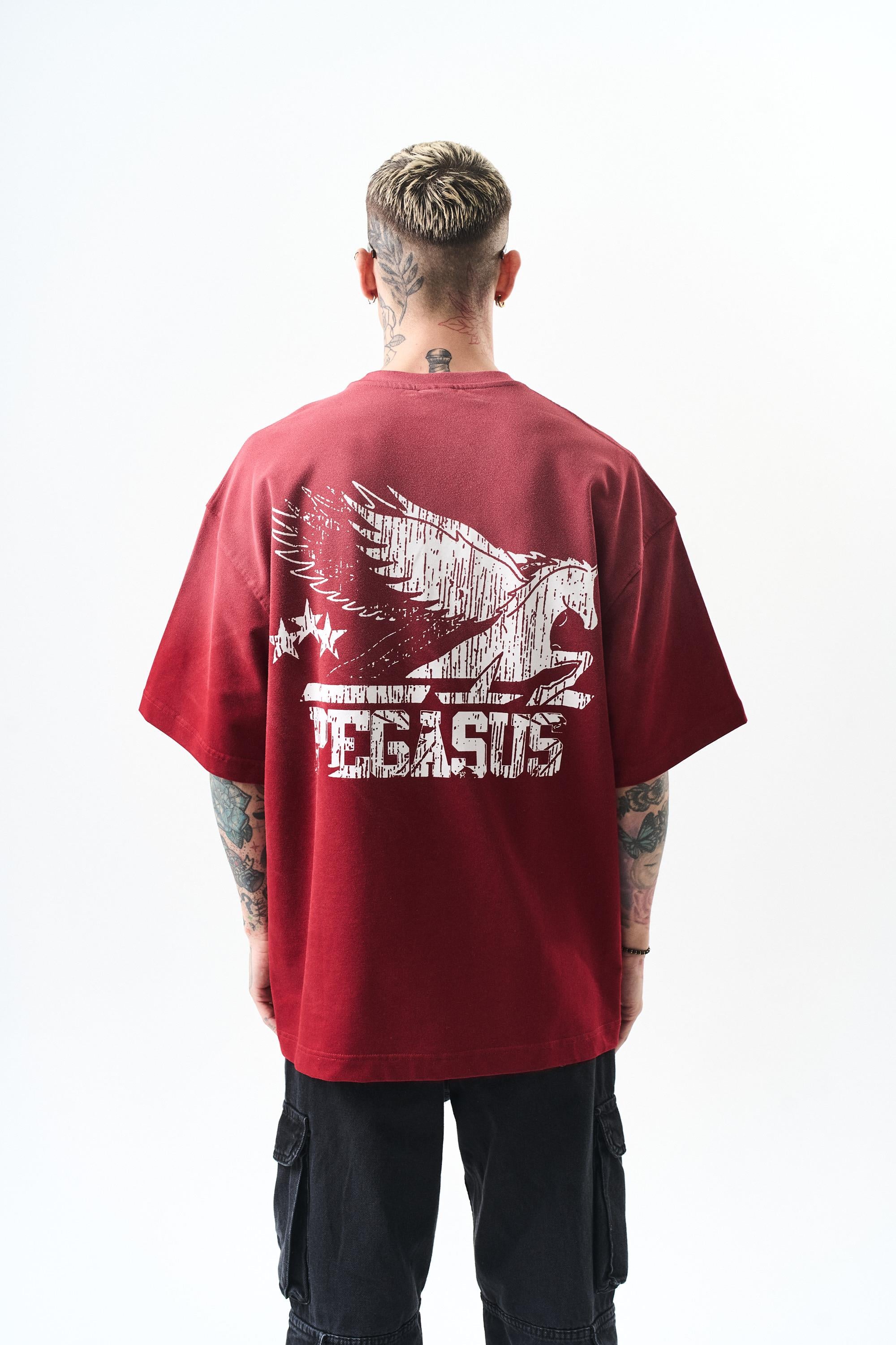 erkek-pegasus-baskili-oversize-t-shirt-4dcb-b.jpg