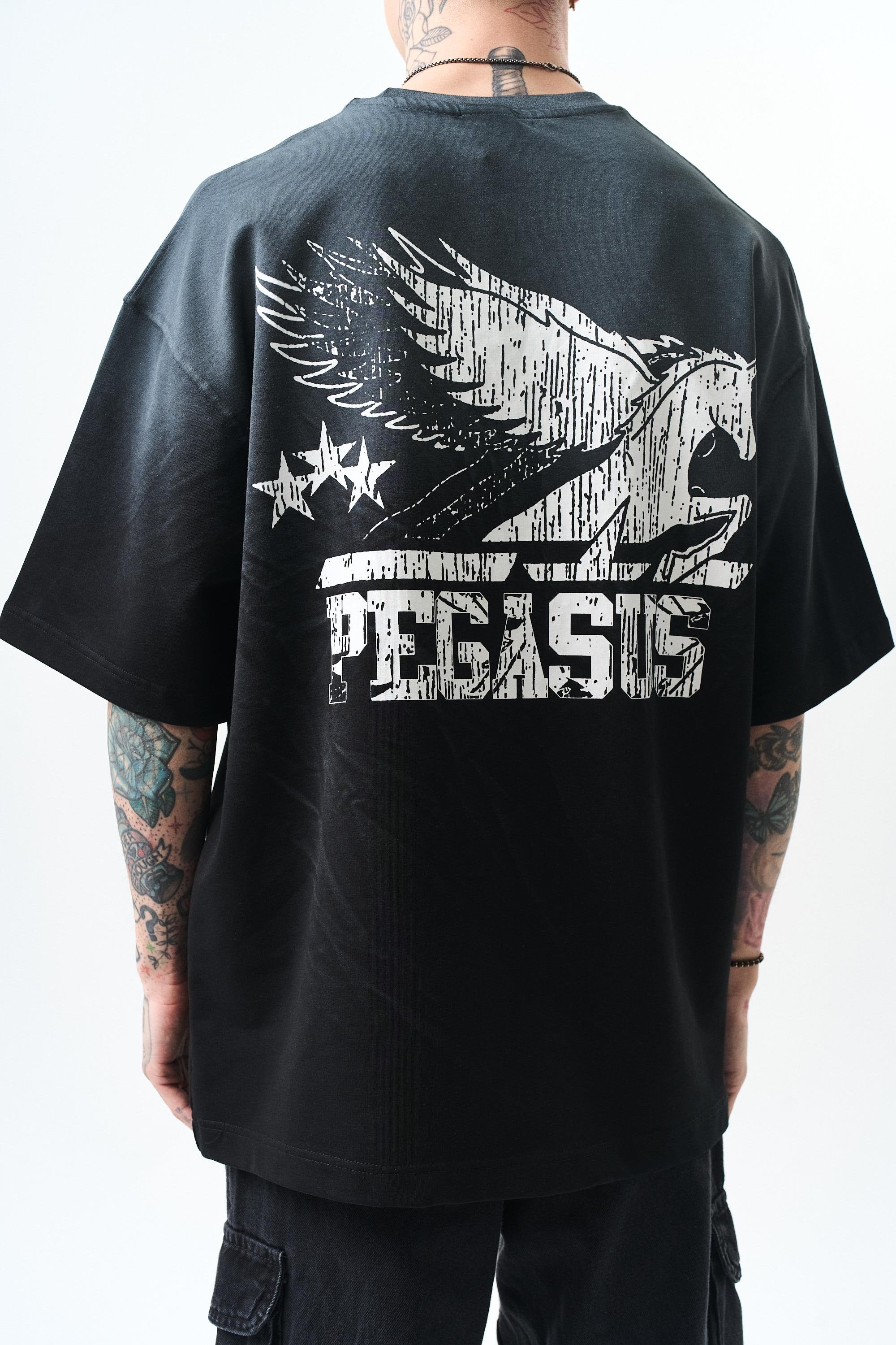 erkek-pegasus-baskili-oversize-t-shirt-e87-2c.jpg