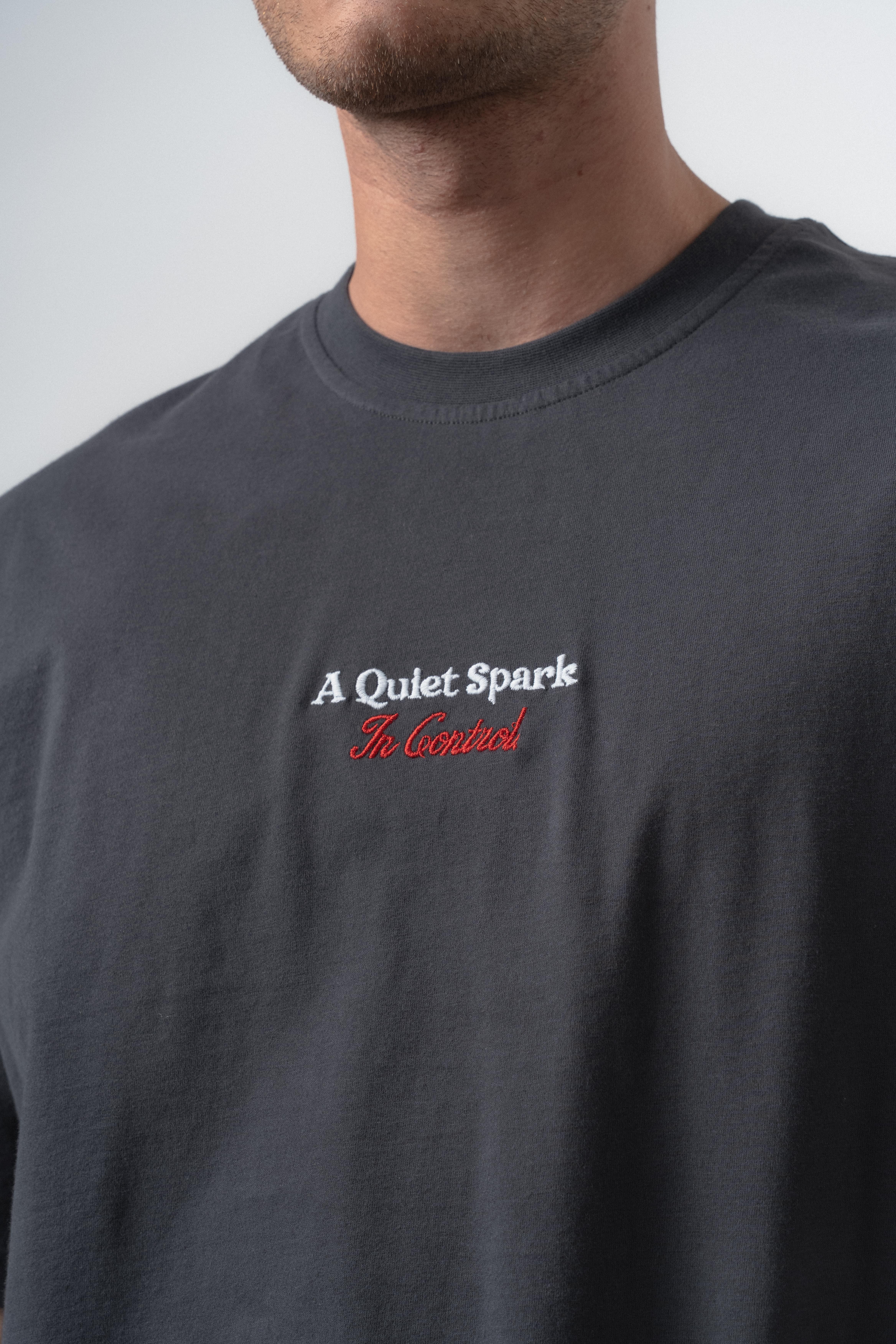 Erkek Spark Nakışlı Oversize T-Shirt Füme